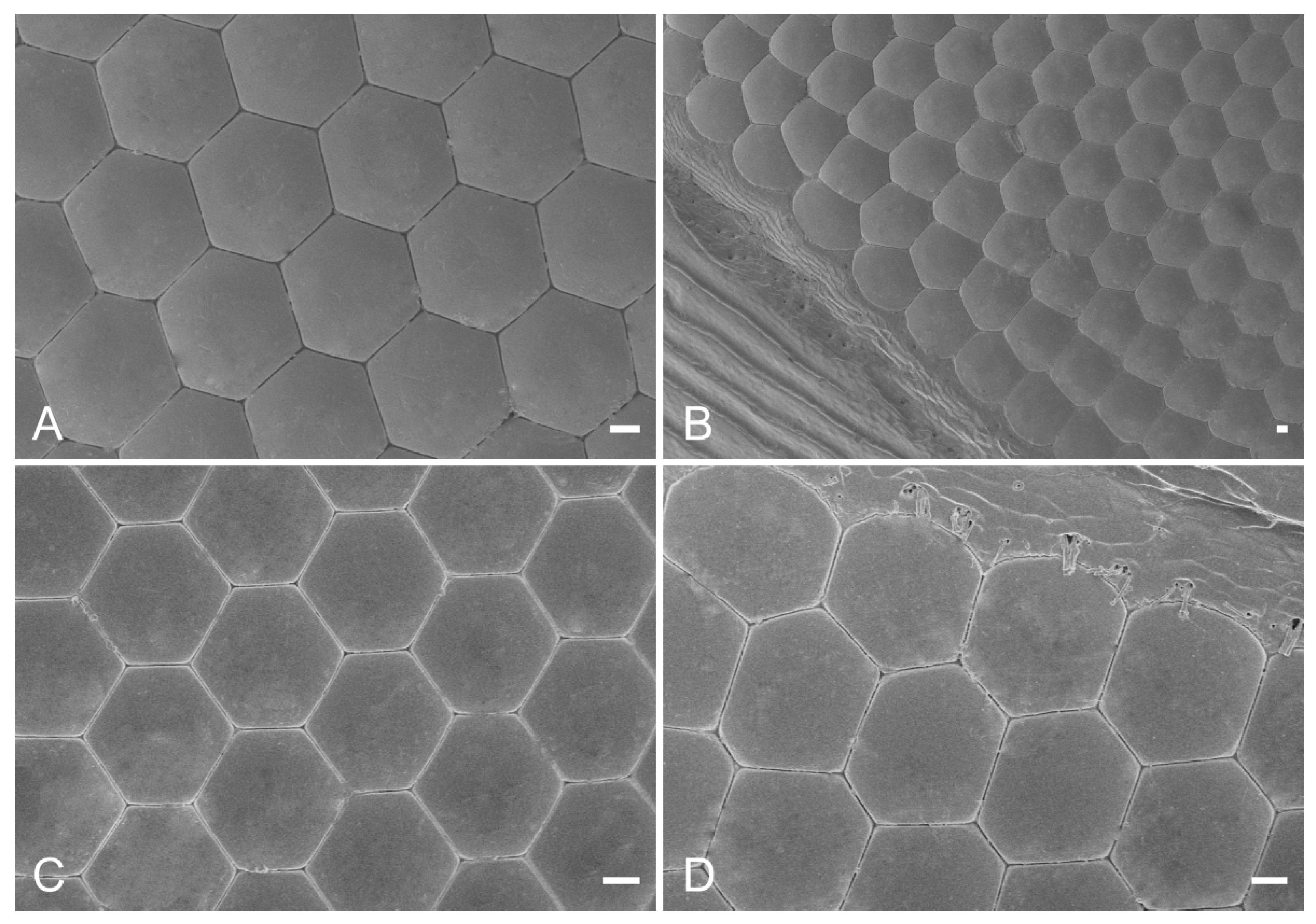 Insects 14 00699 g002 Insects 14 00699 g002