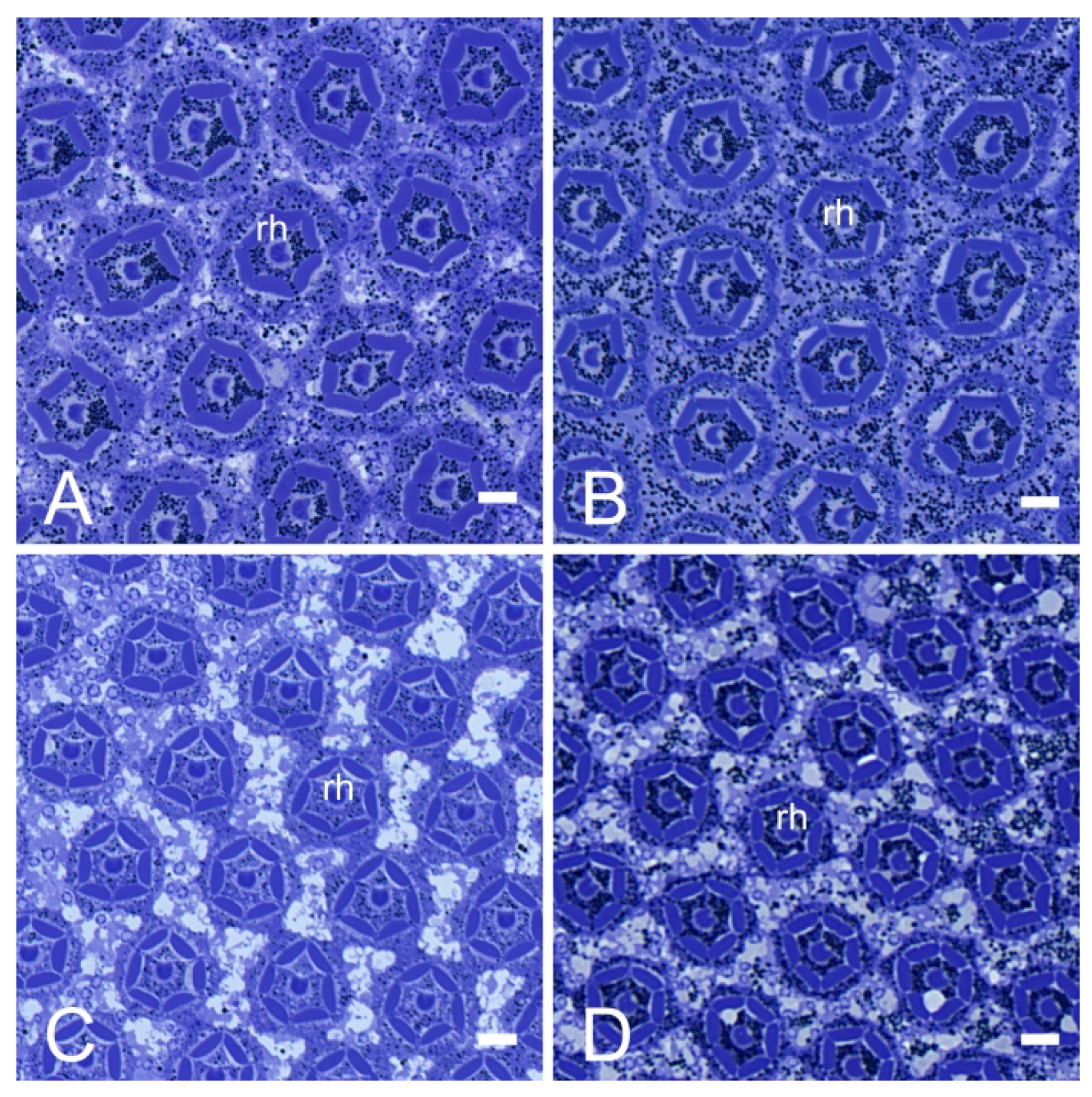 Insects 14 00699 g004 Insects 14 00699 g004
