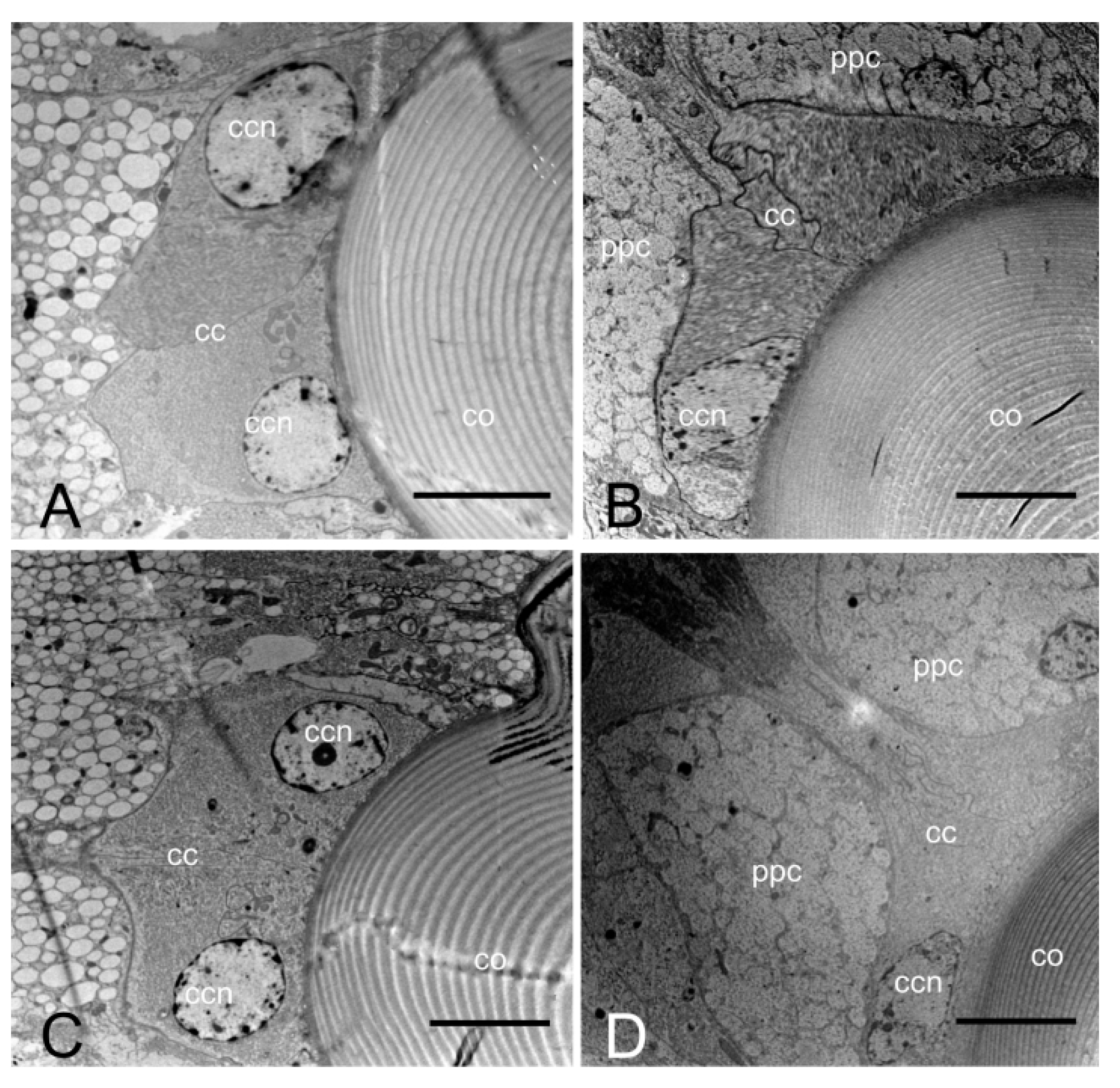 Insects 14 00699 g006 Insects 14 00699 g006
