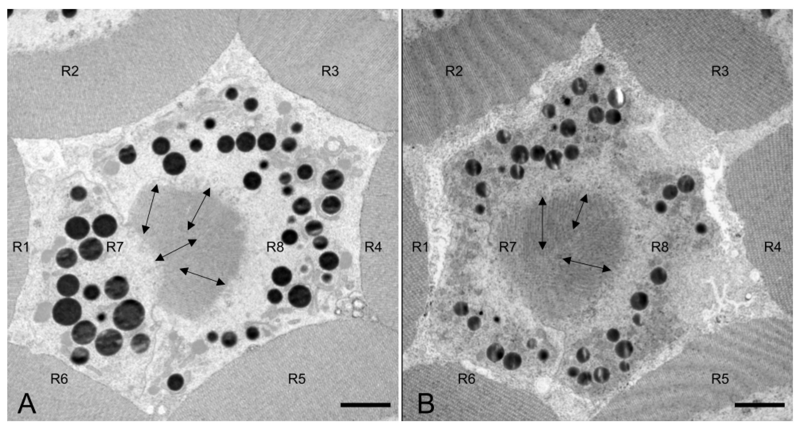 Insects 14 00699 g008 Insects 14 00699 g008