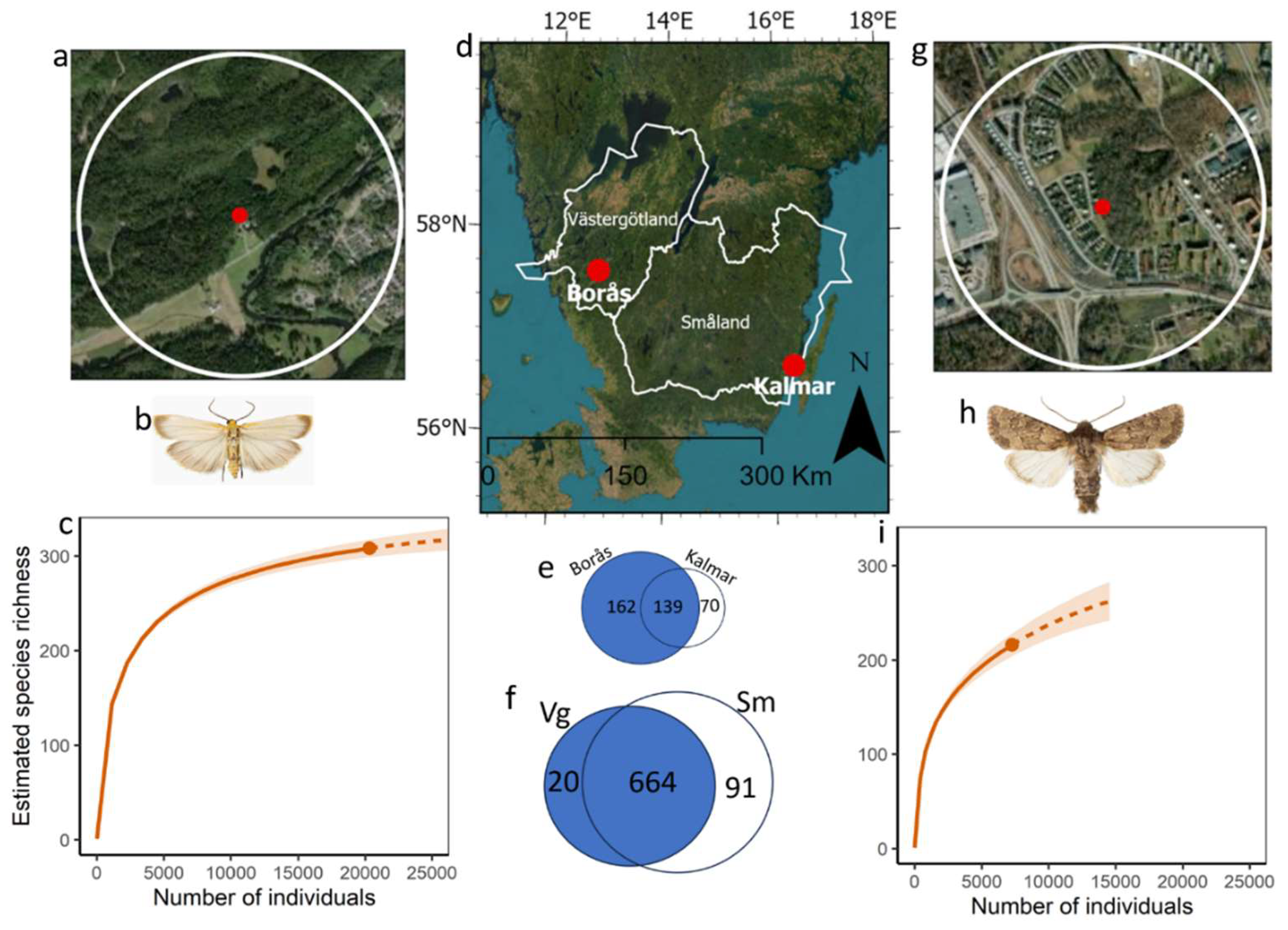 https://www.mdpi.com/insects/insects-14-00702/article_deploy/html/images/insects-14-00702-g001.png