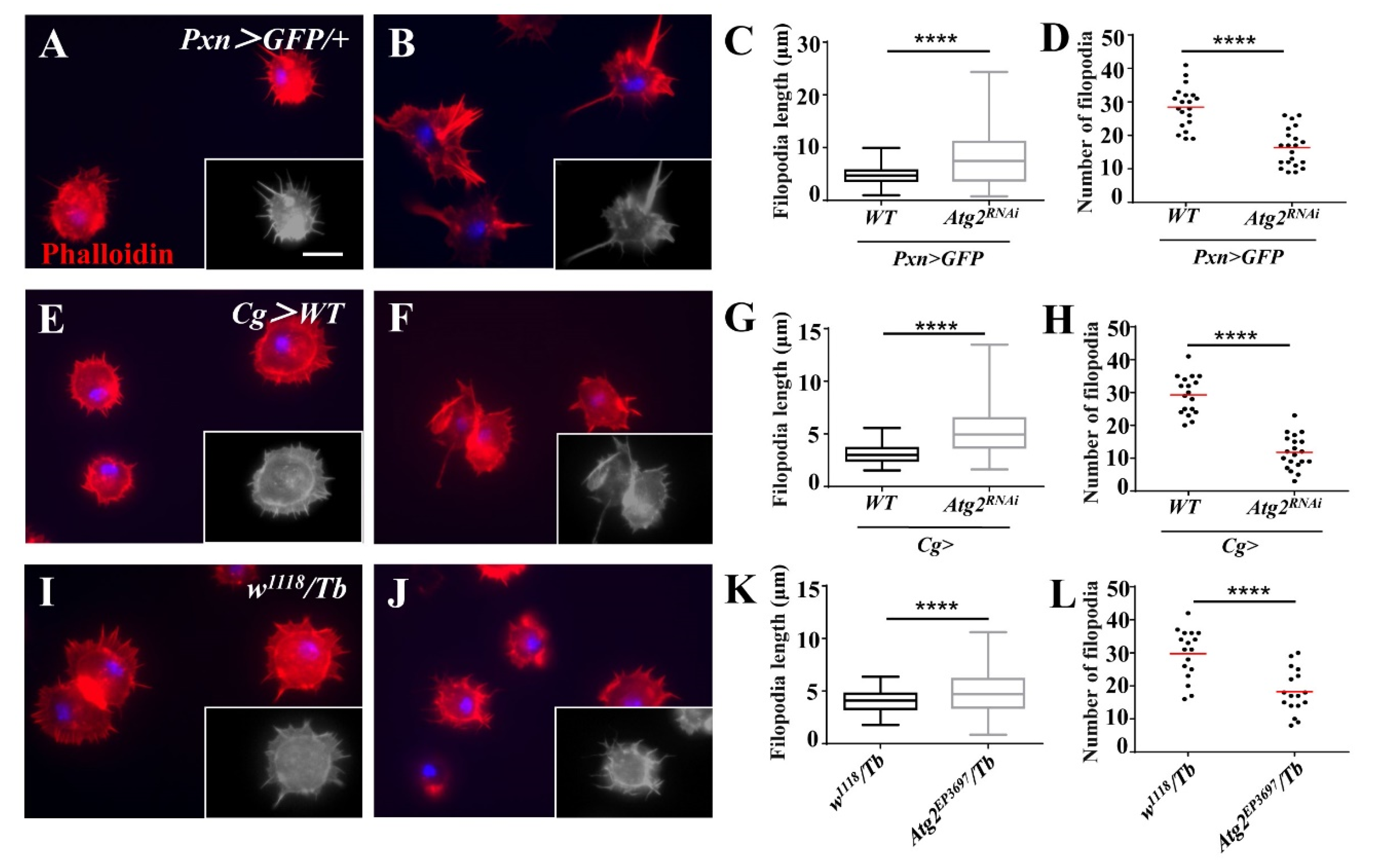 Insects 14 00706 g004 Insects 14 00706 g004