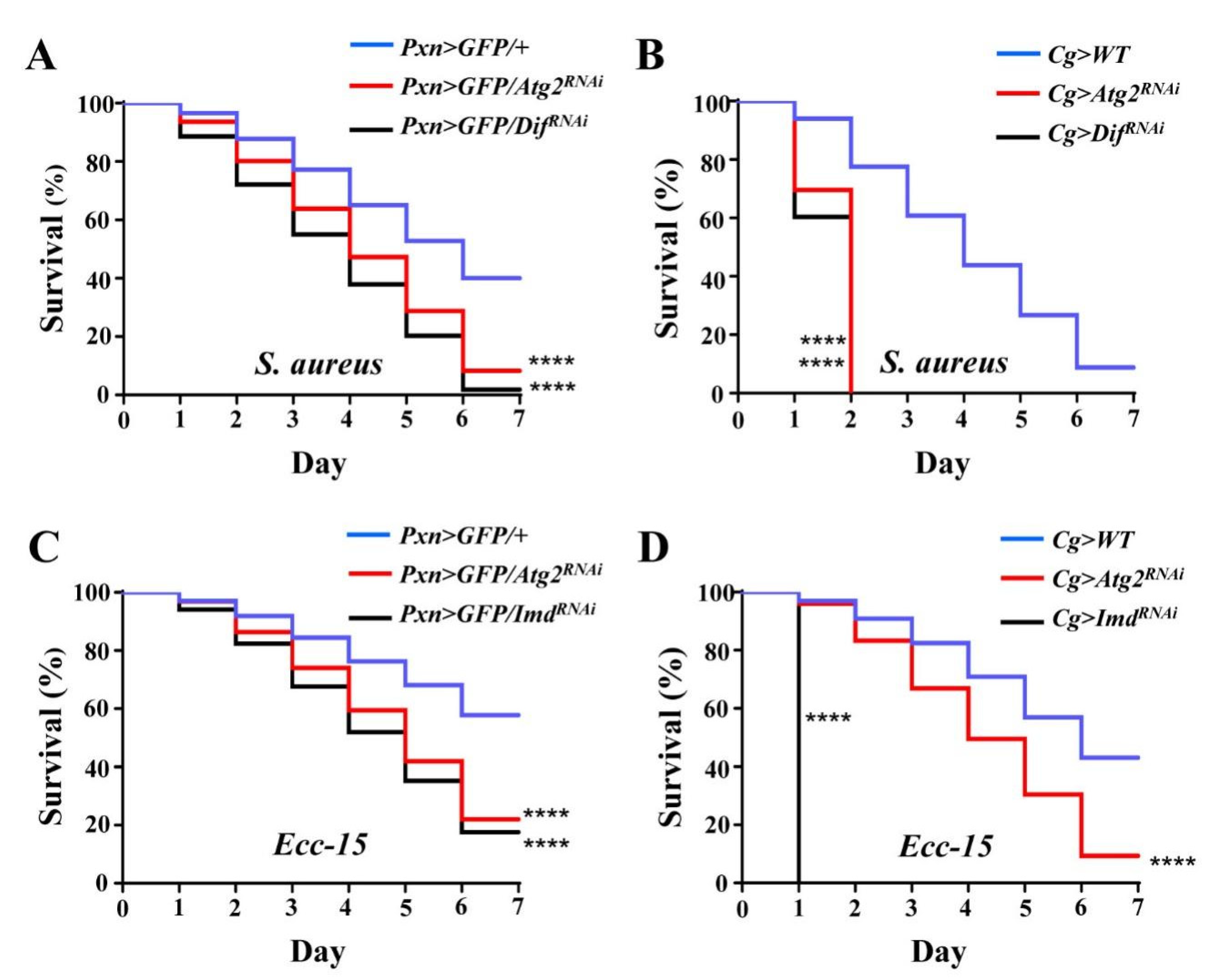 Insects 14 00706 g006 Insects 14 00706 g006