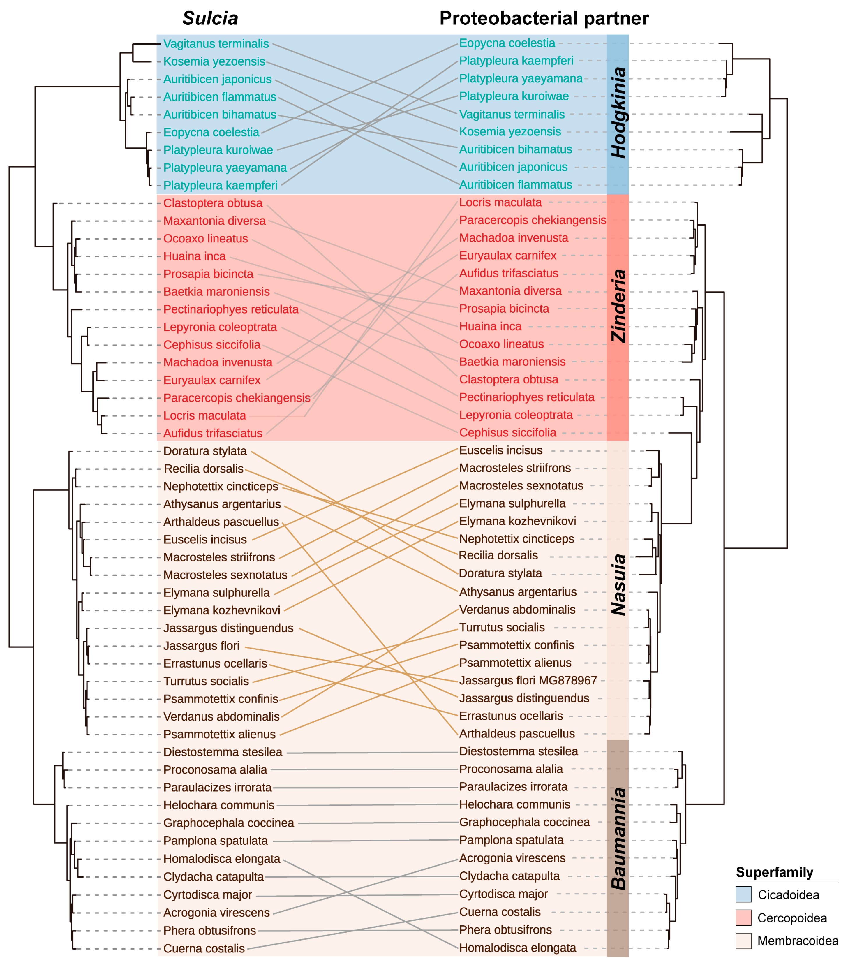 Insects 14 00710 g003 Insects 14 00710 g003