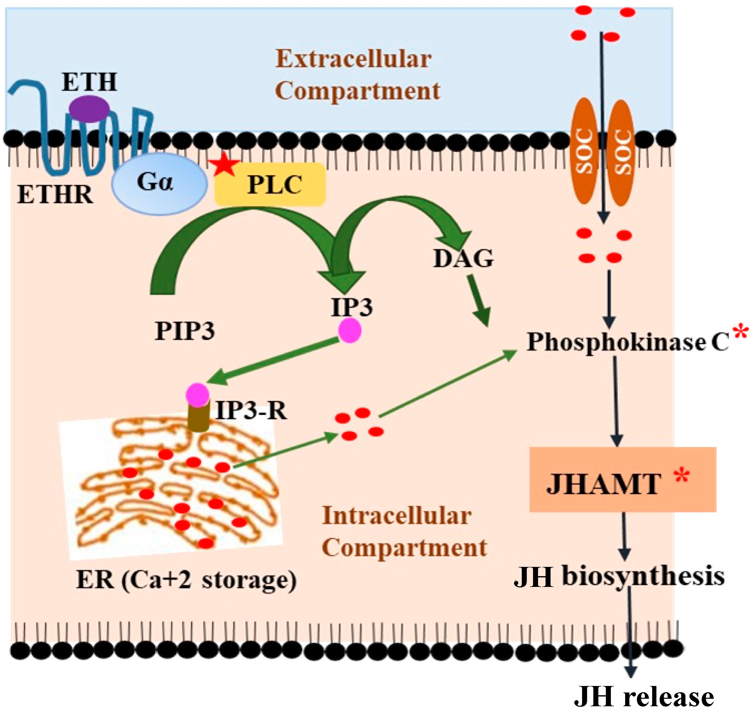 Insects 14 00711 g003