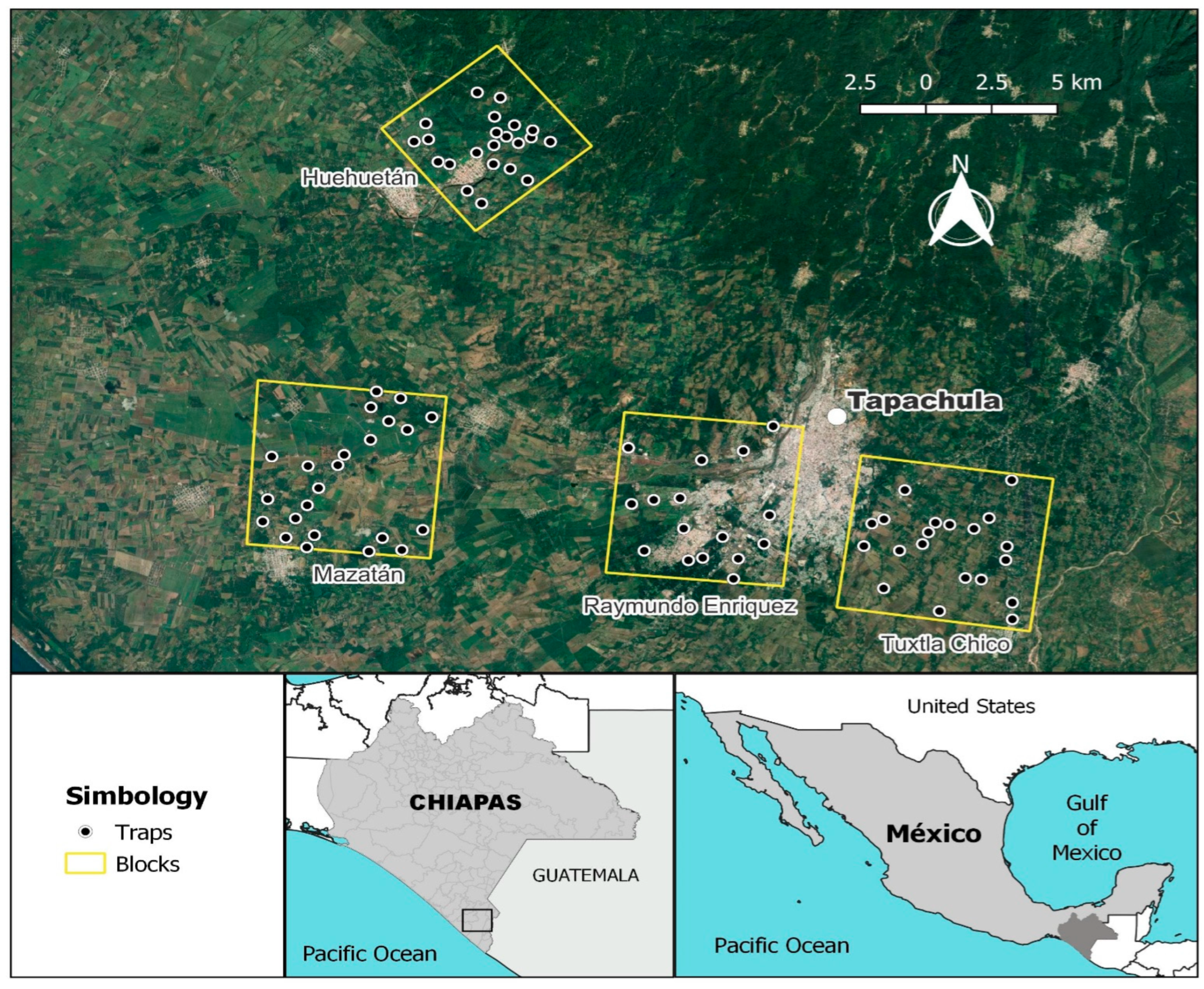 Insects 14 00719 g001