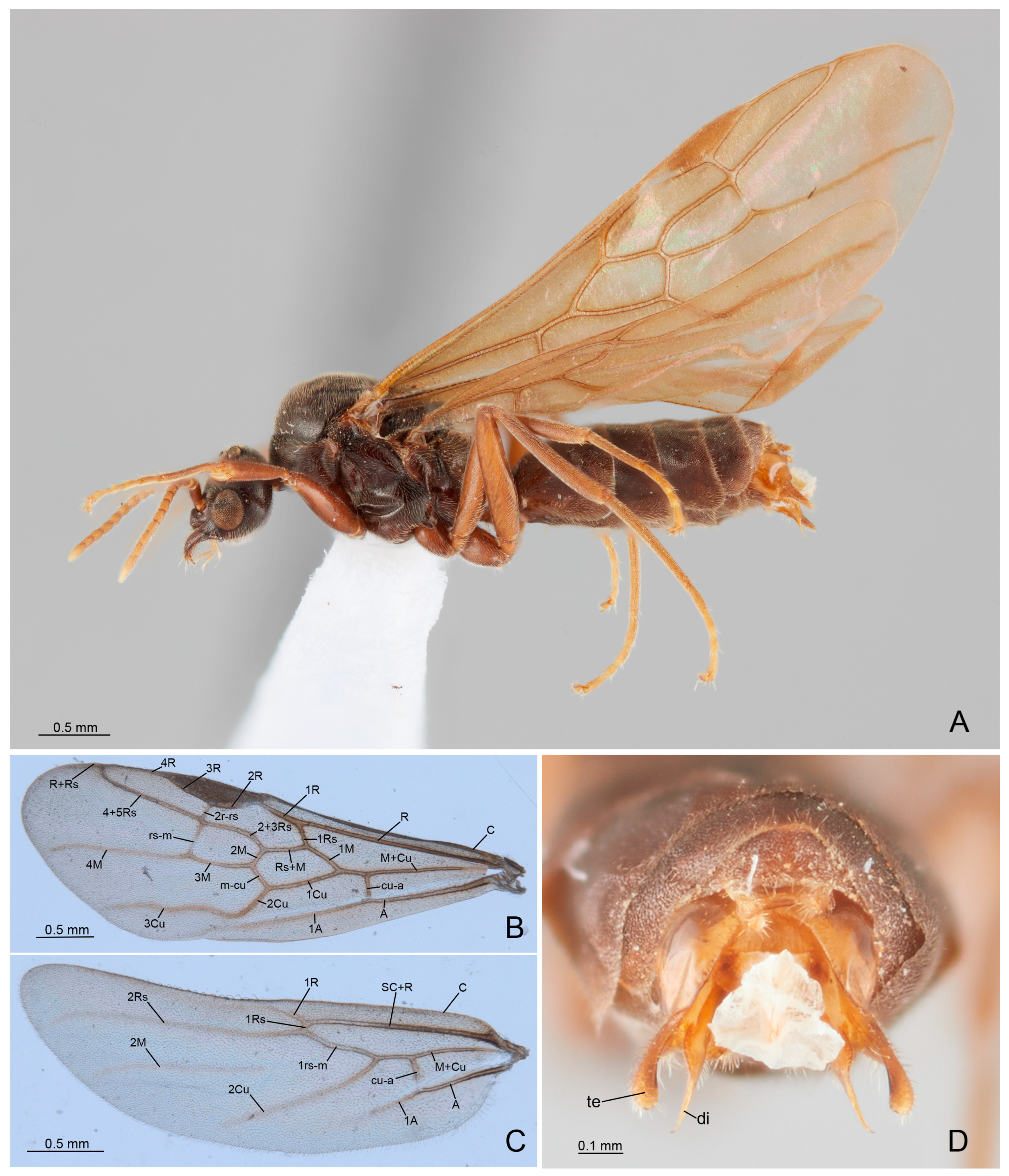 Insects 14 00723 g001