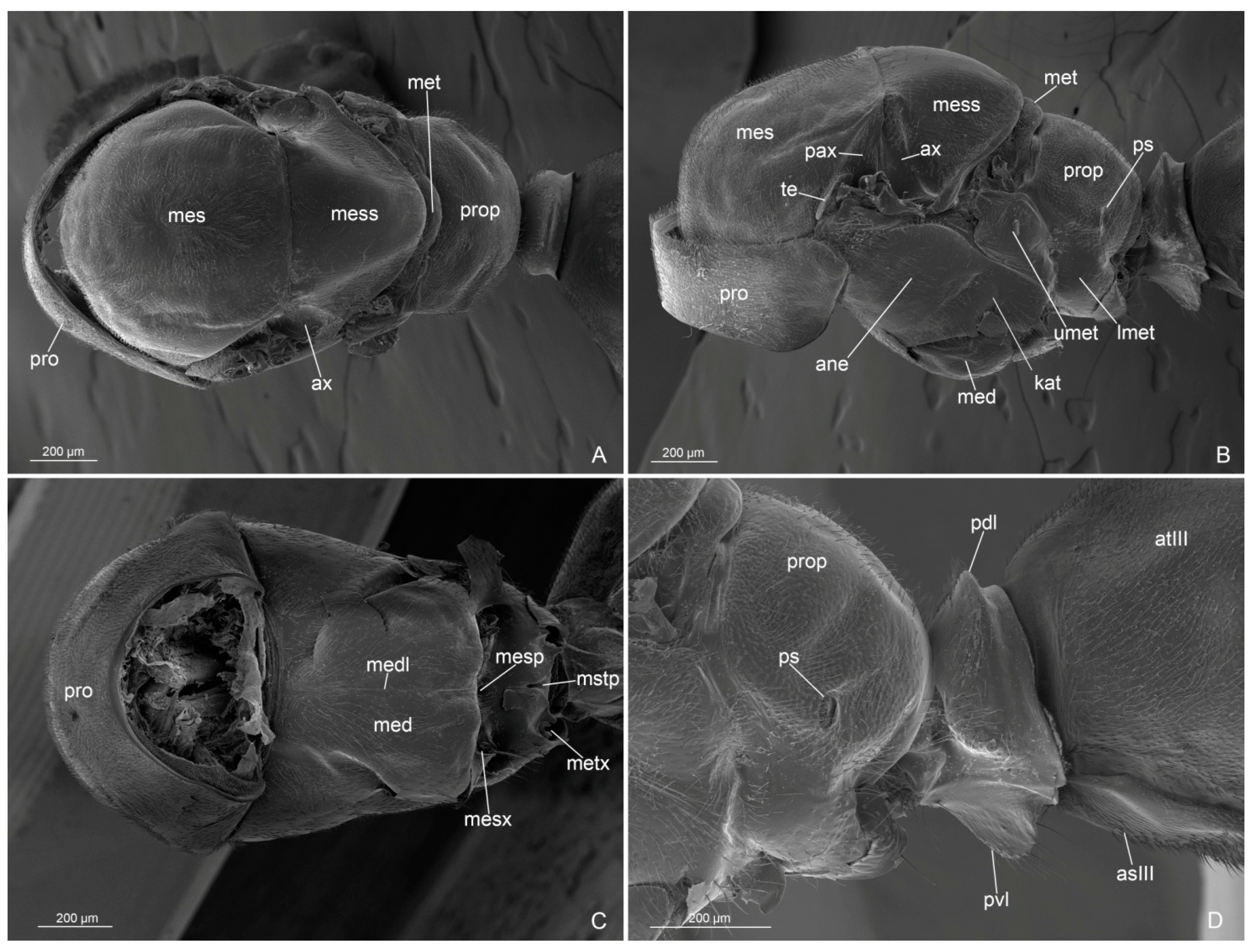 Insects 14 00723 g004