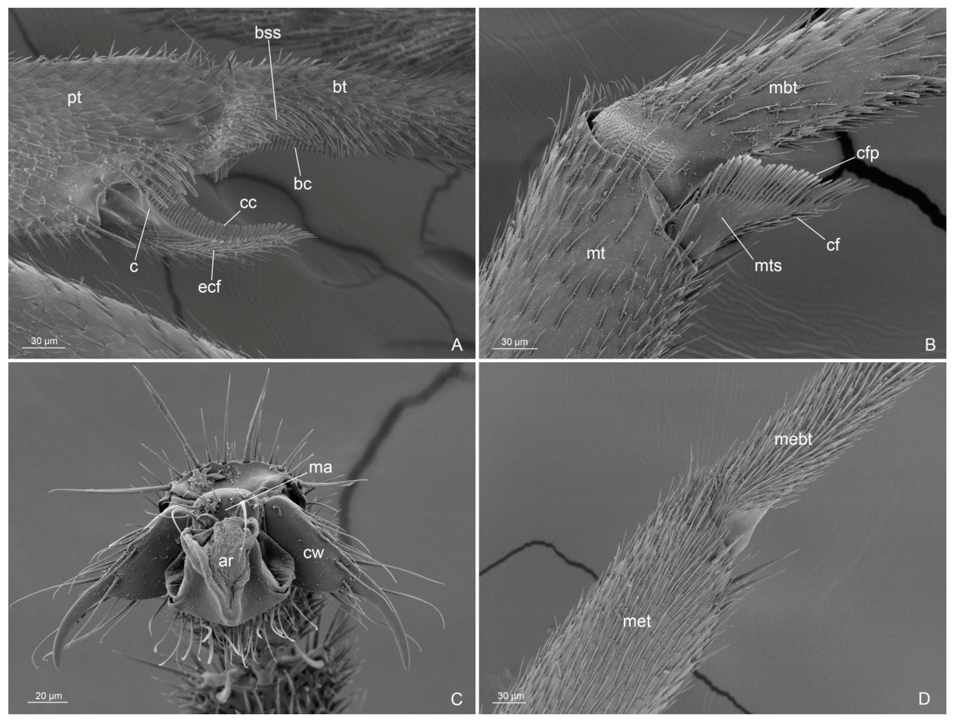 Insects 14 00723 g005