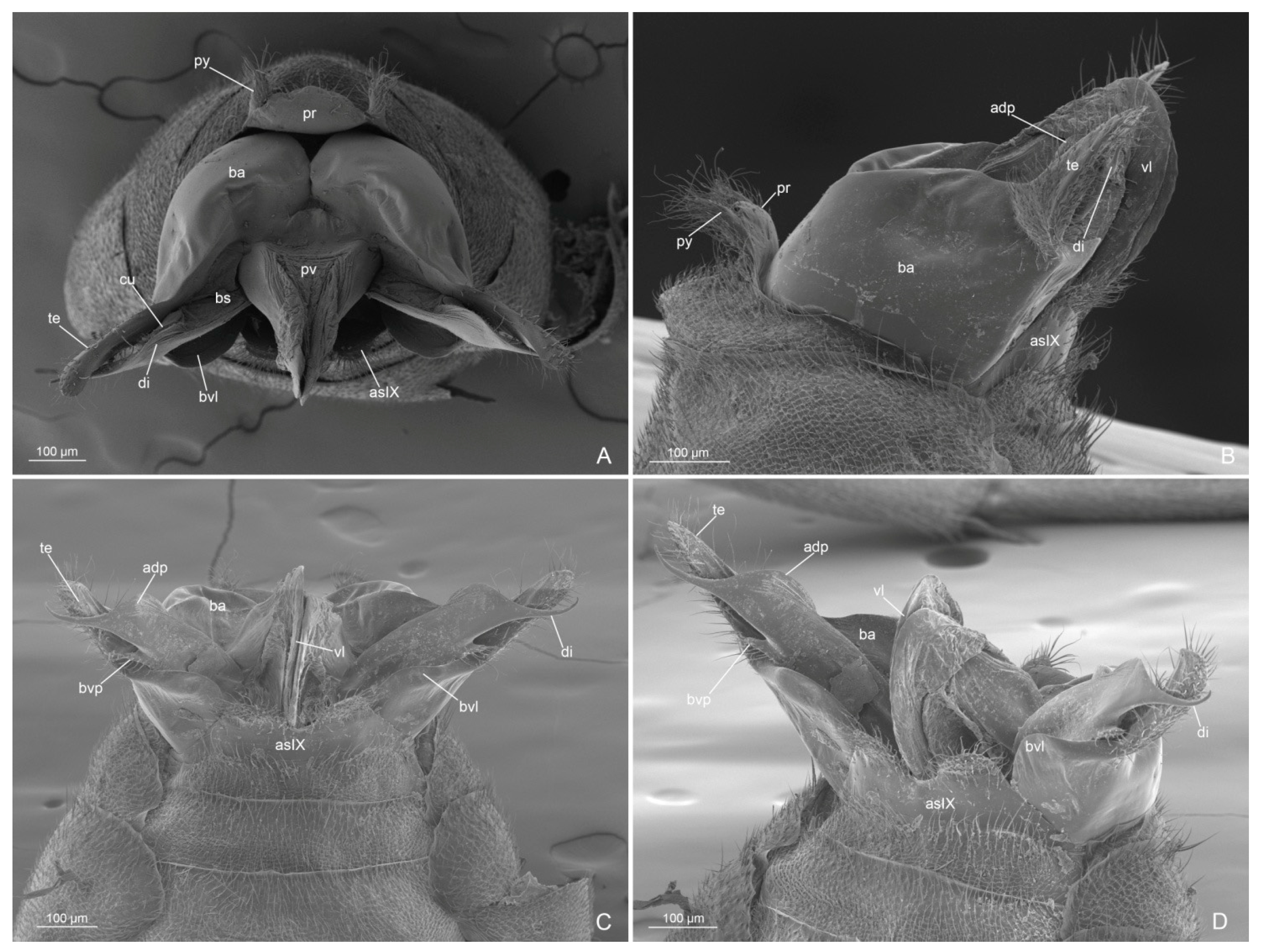 Insects 14 00723 g006