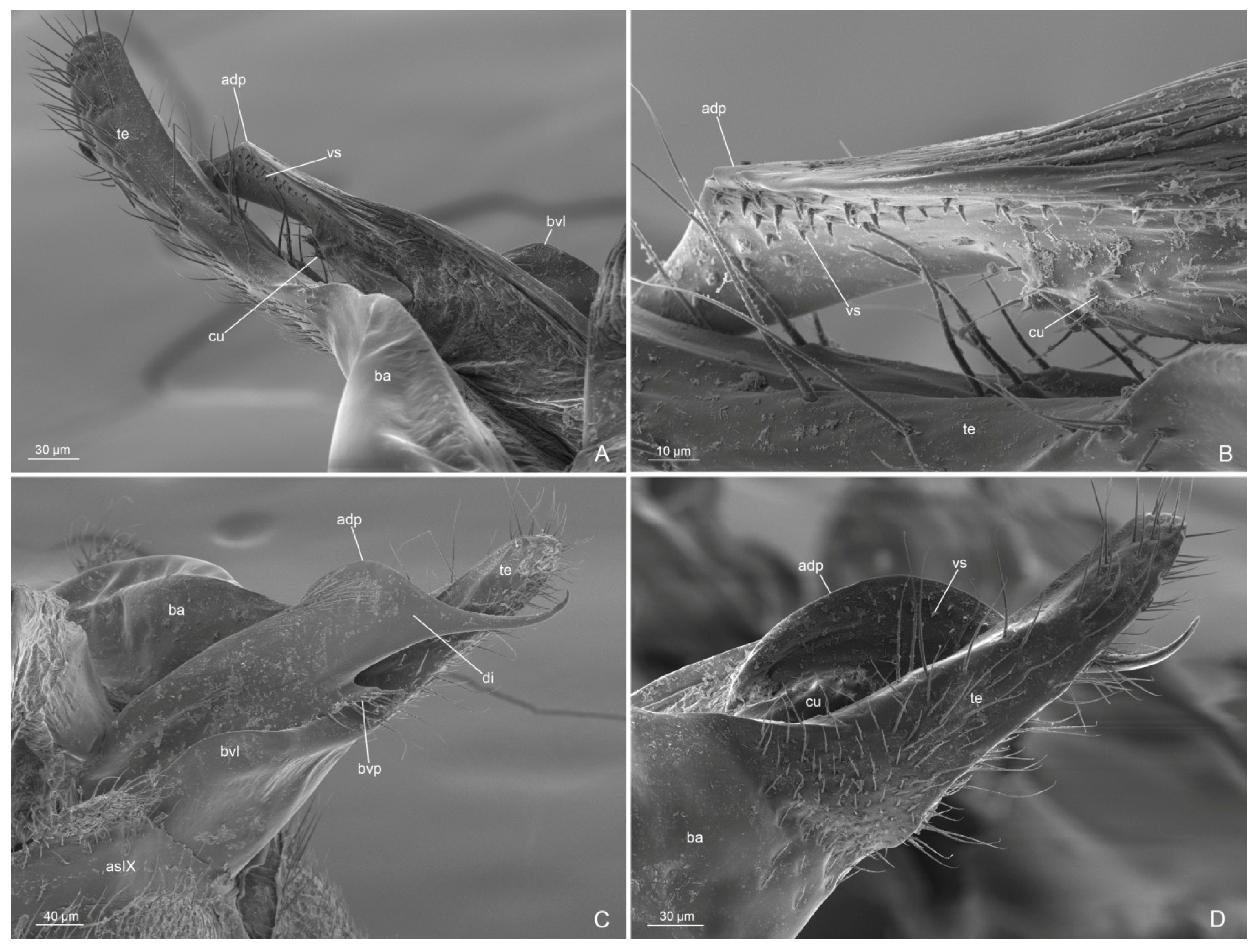 Insects 14 00723 g007