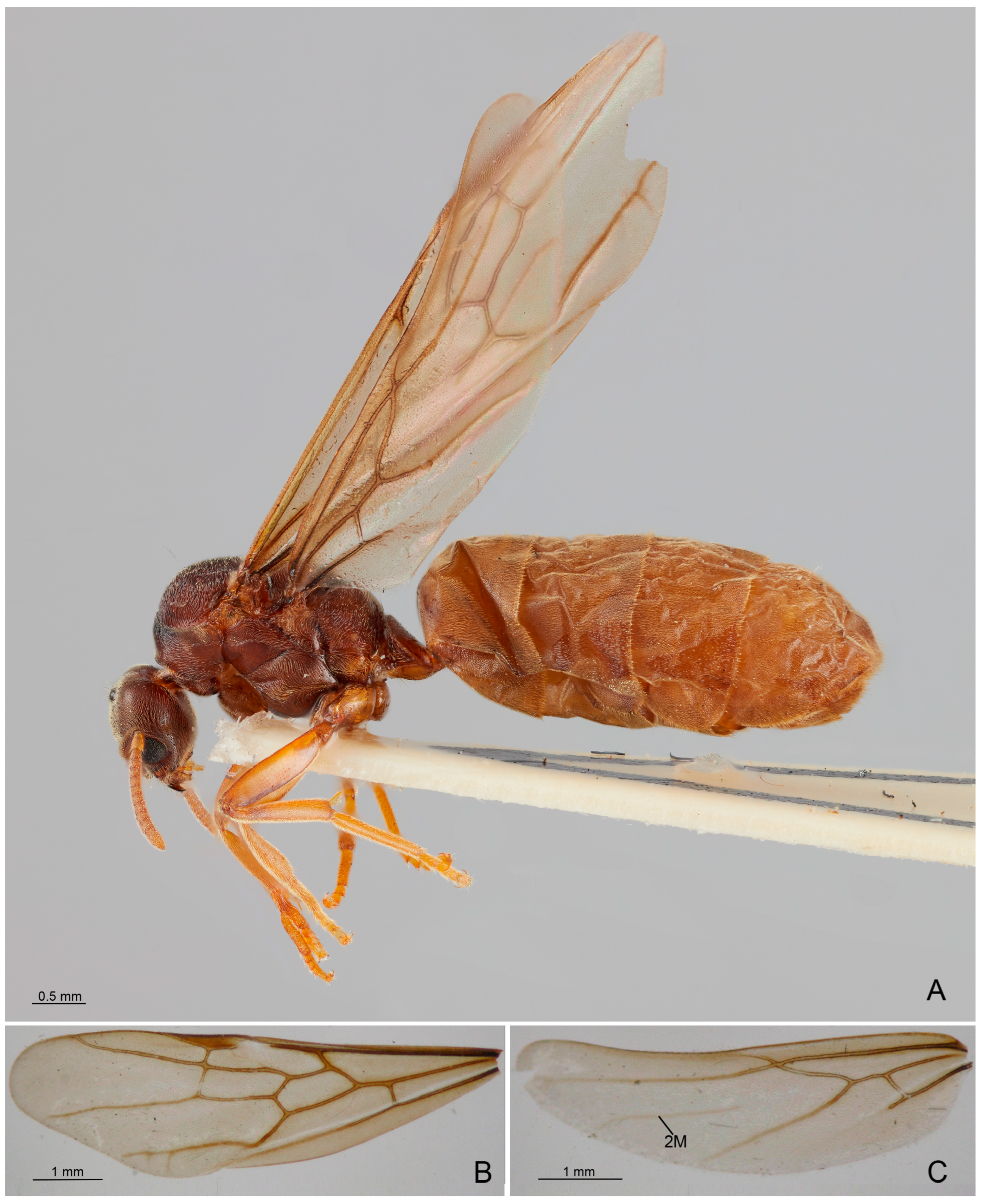 Insects 14 00723 g008