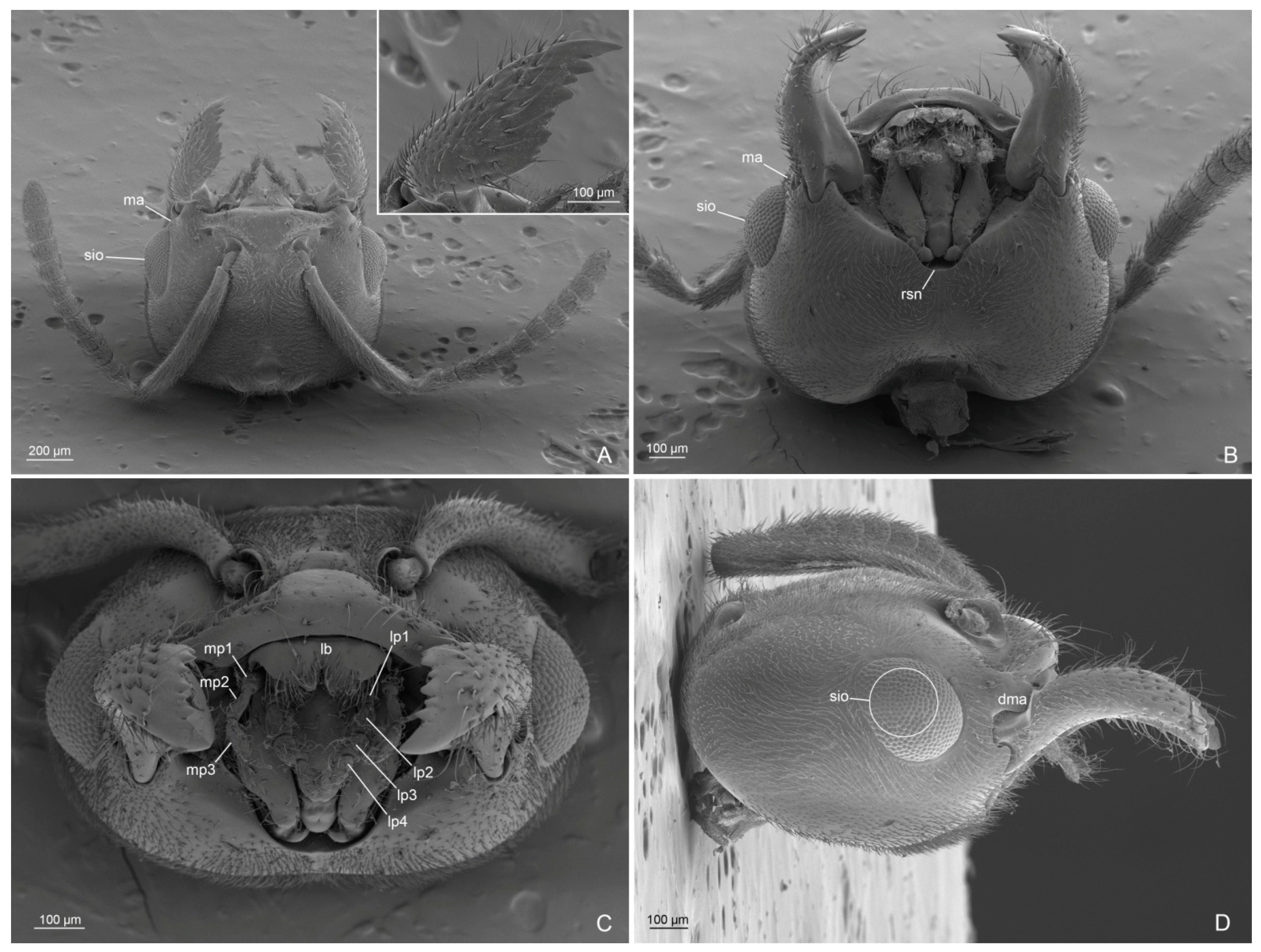 Insects 14 00723 g009