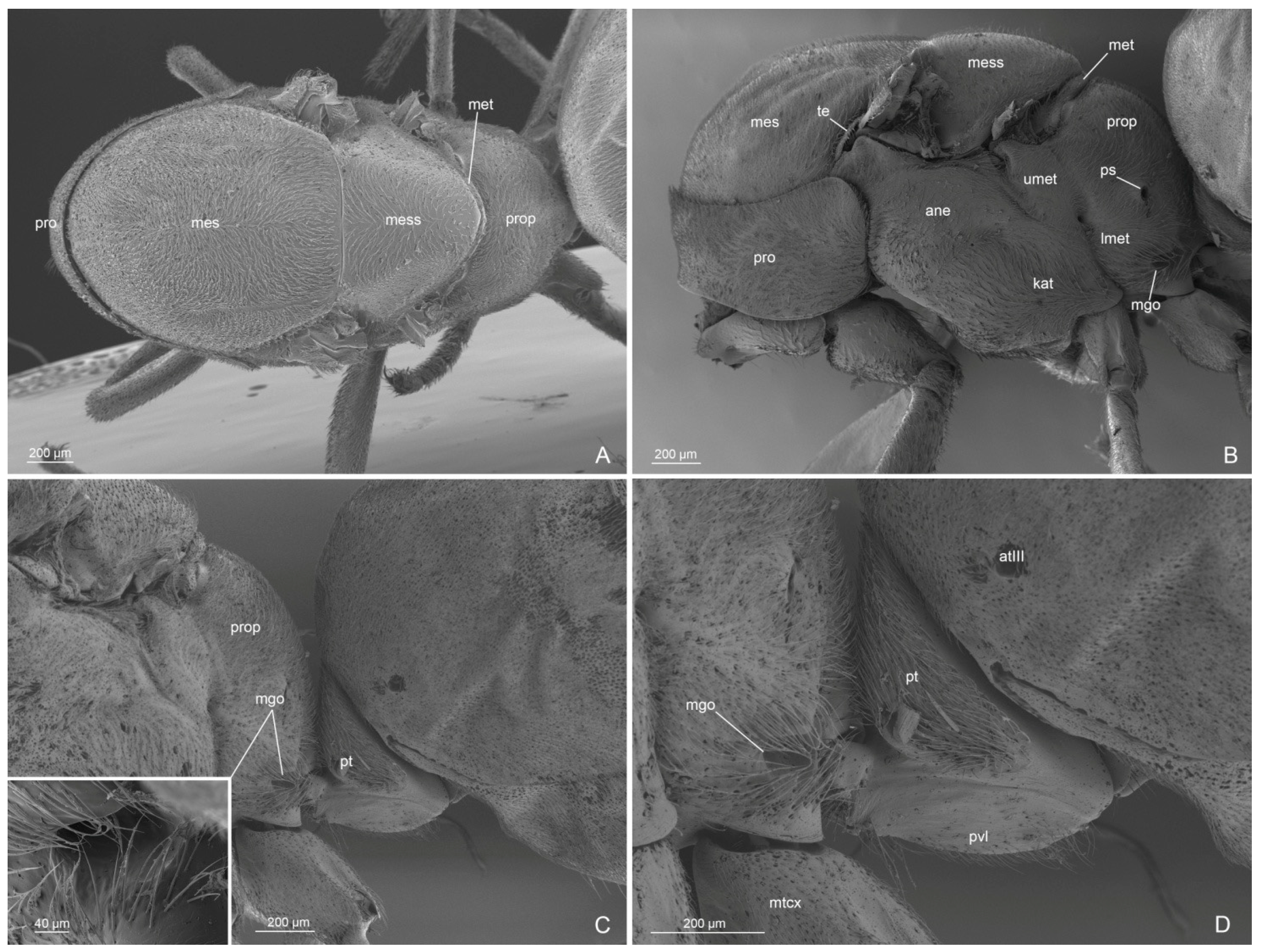 Insects 14 00723 g010