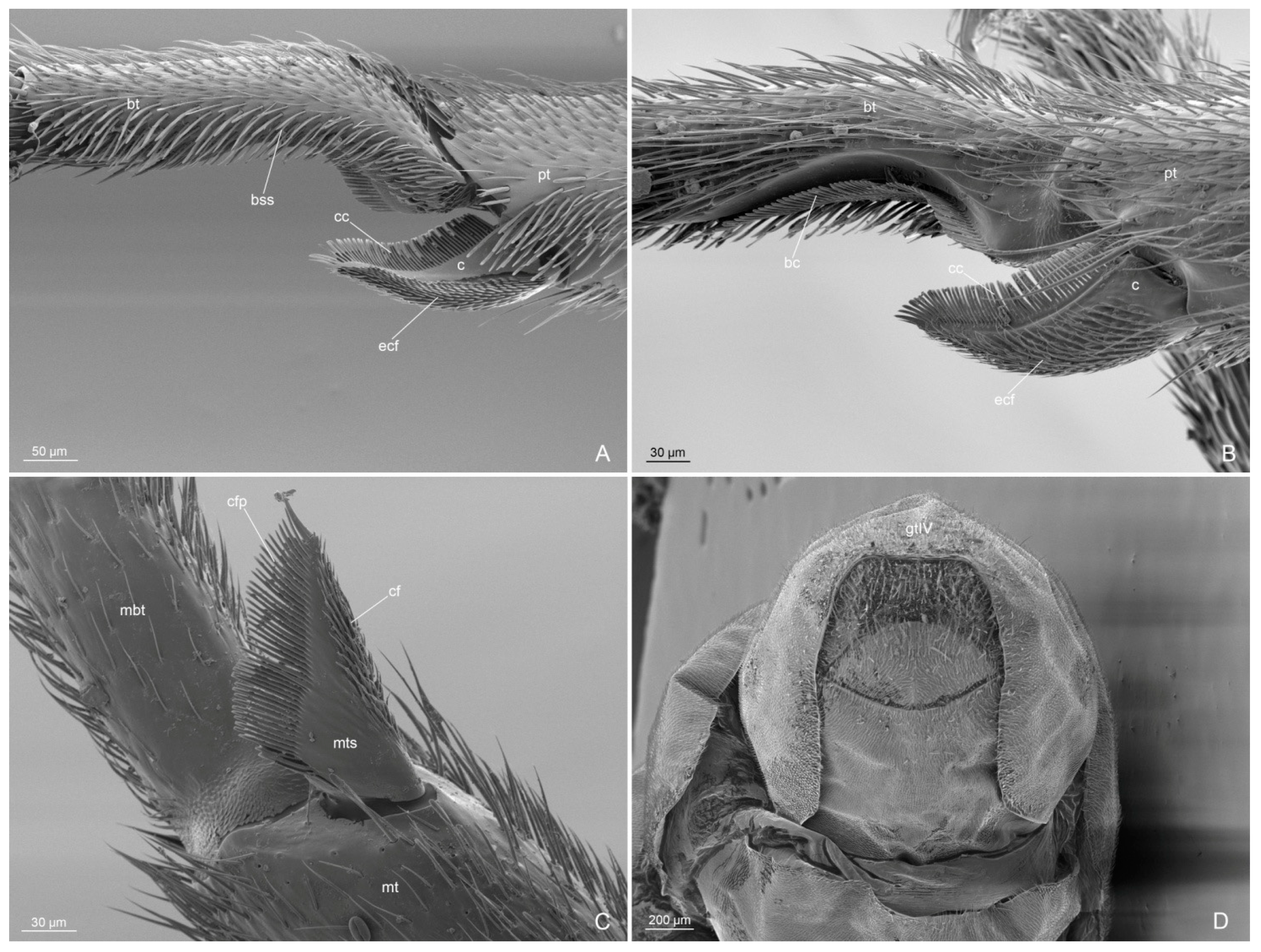 Insects 14 00723 g011