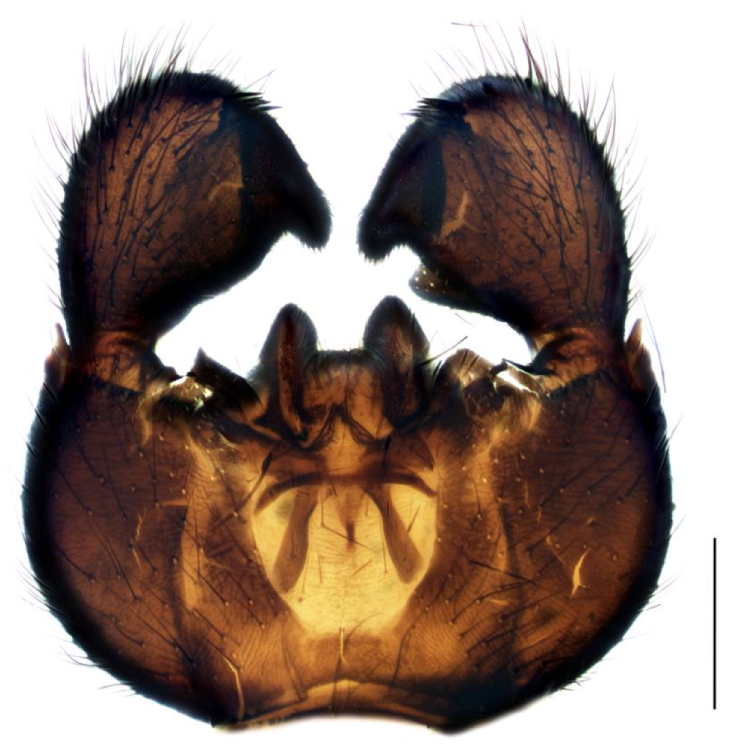 Insects 14 00732 g005