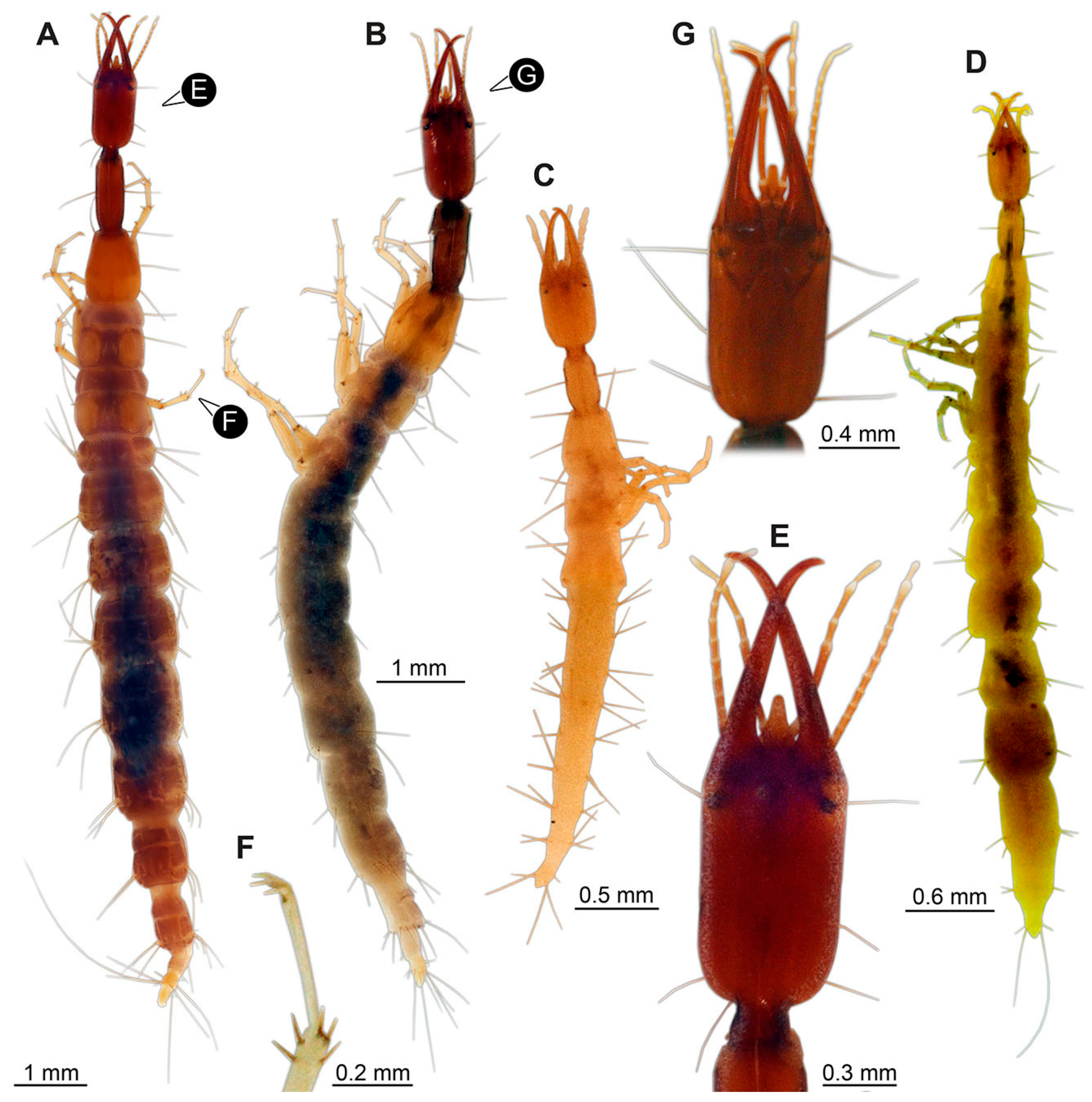 Insects 14 00749 g002