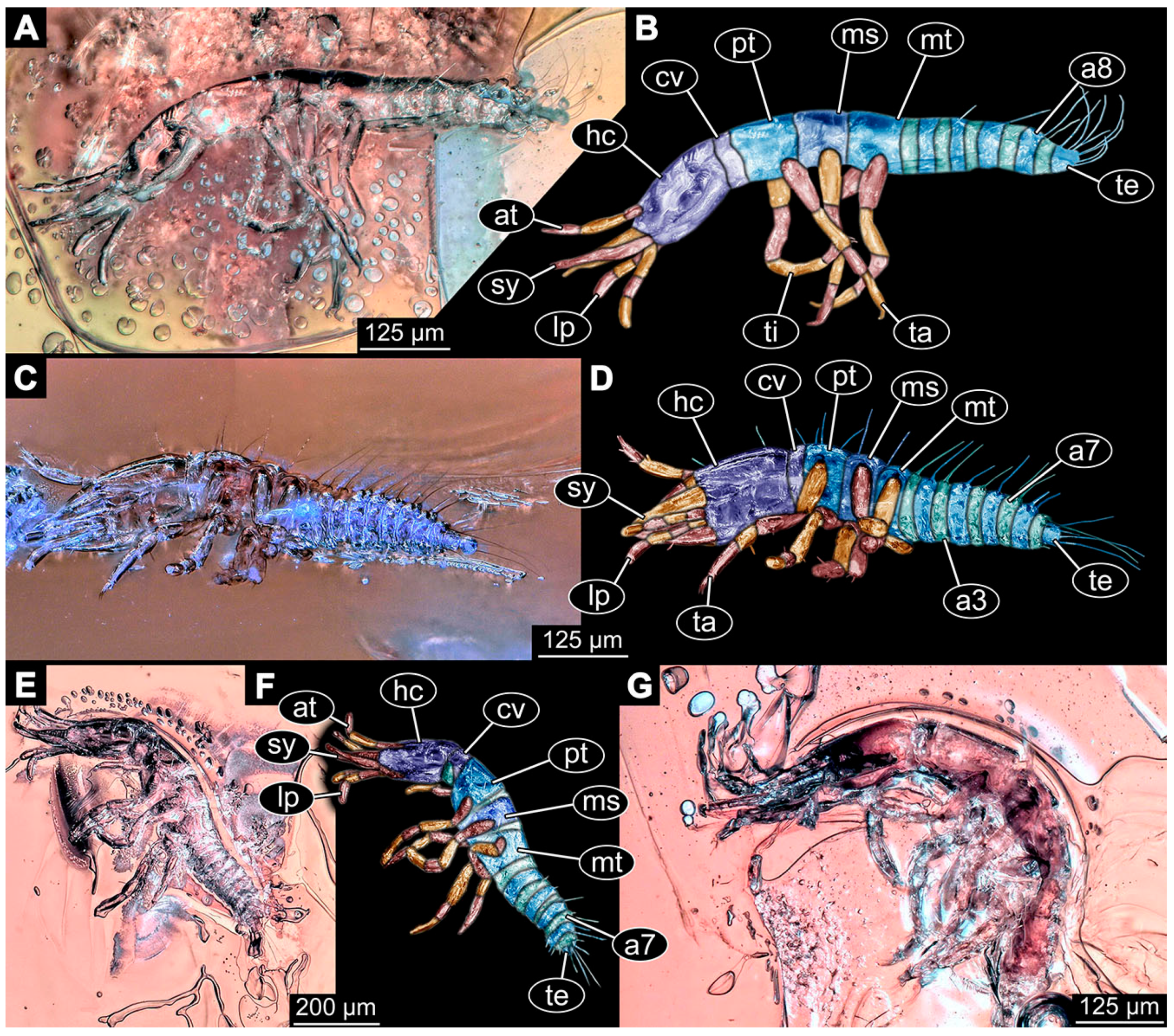 Insects 14 00749 g007