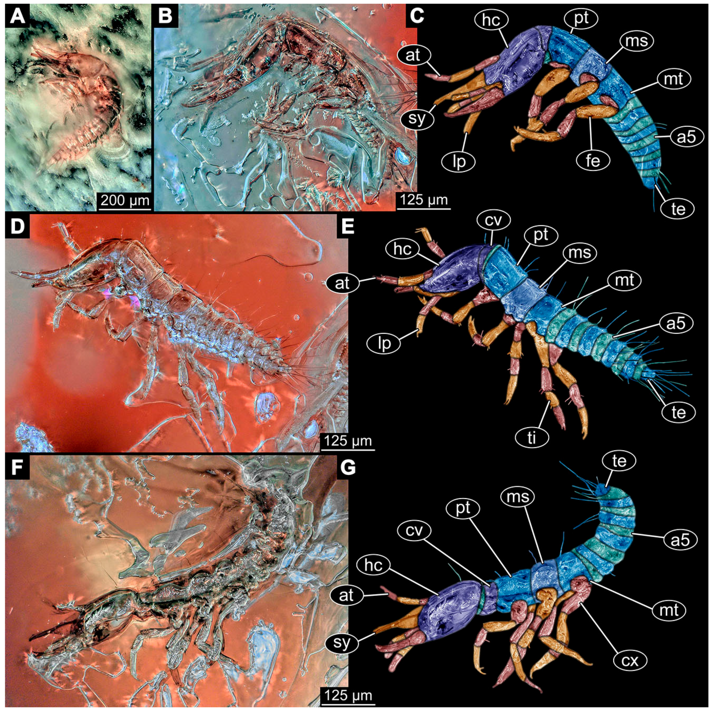 Insects 14 00749 g009