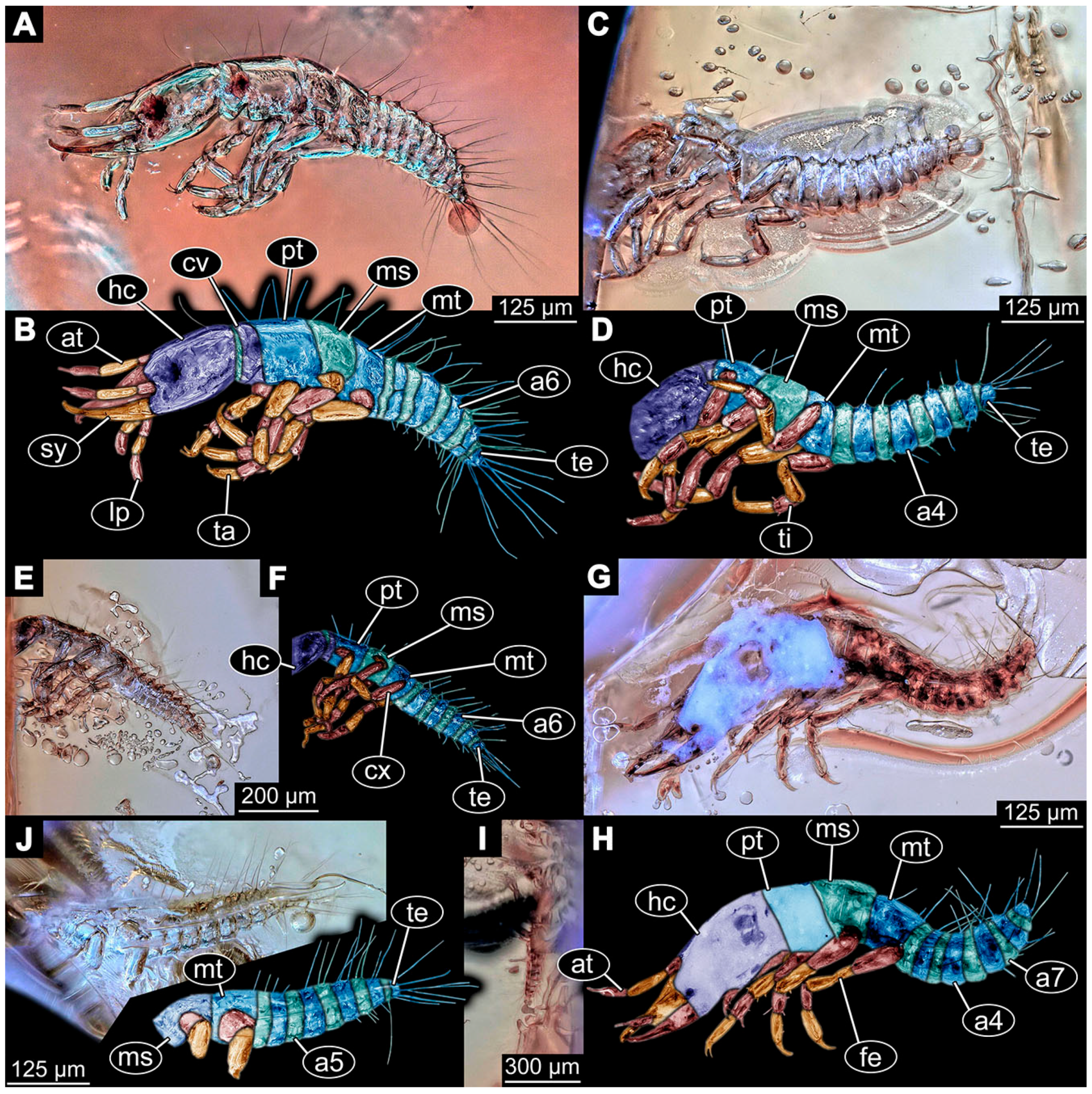 Insects 14 00749 g011