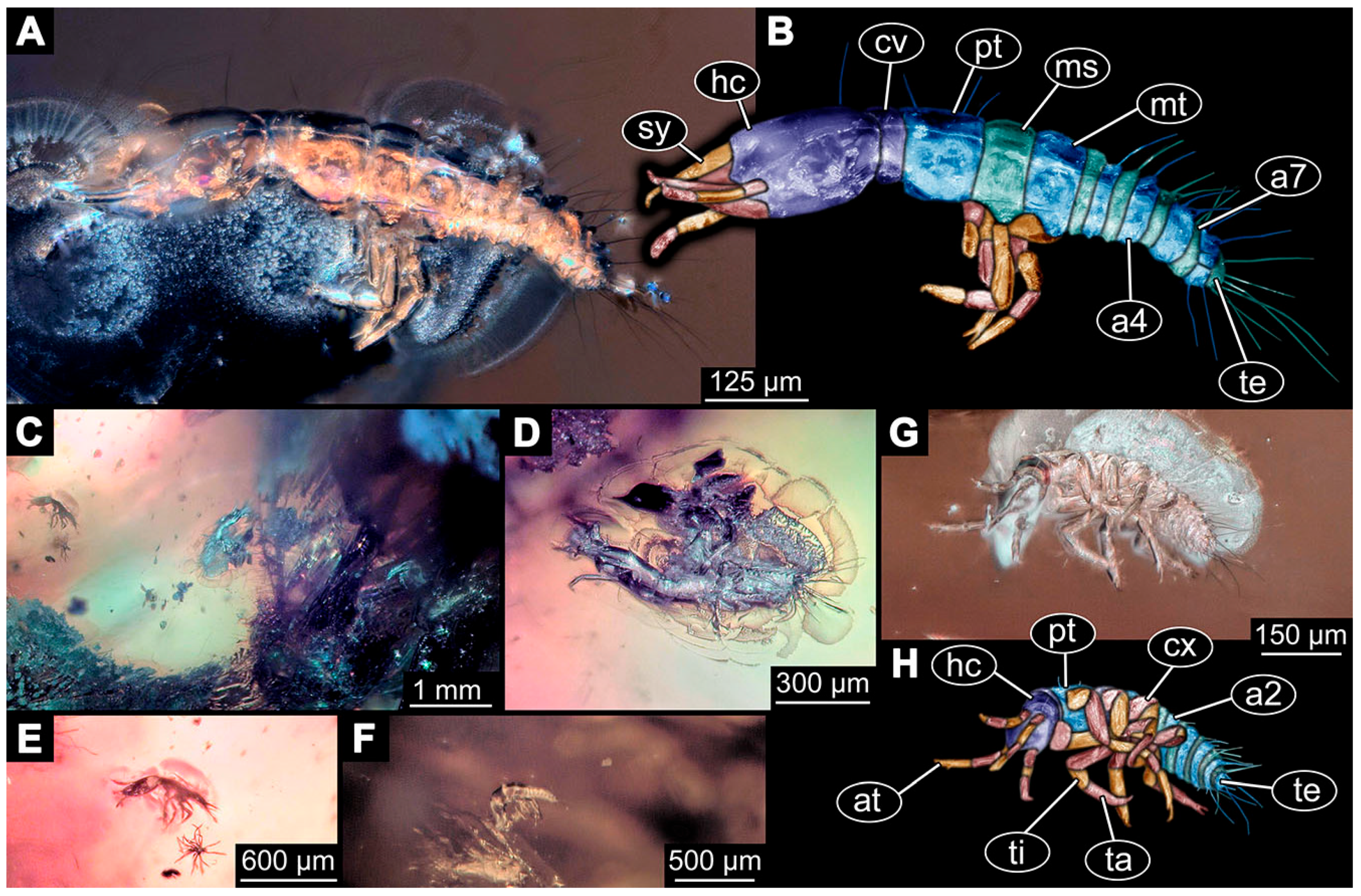 Insects 14 00749 g013
