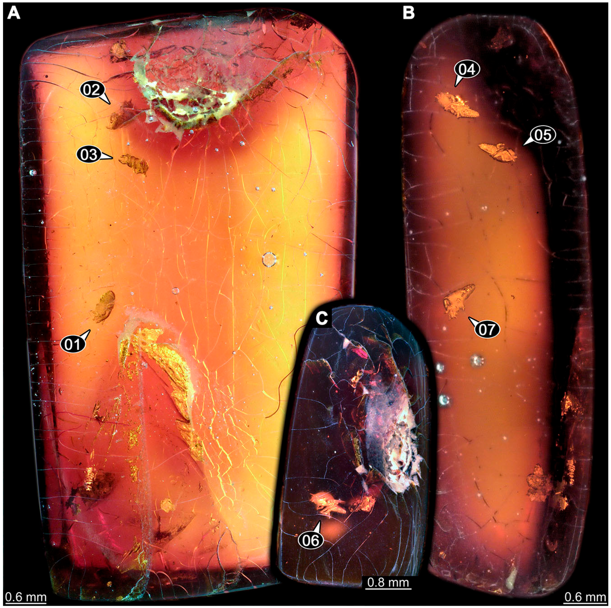 Insects 14 00749 g014