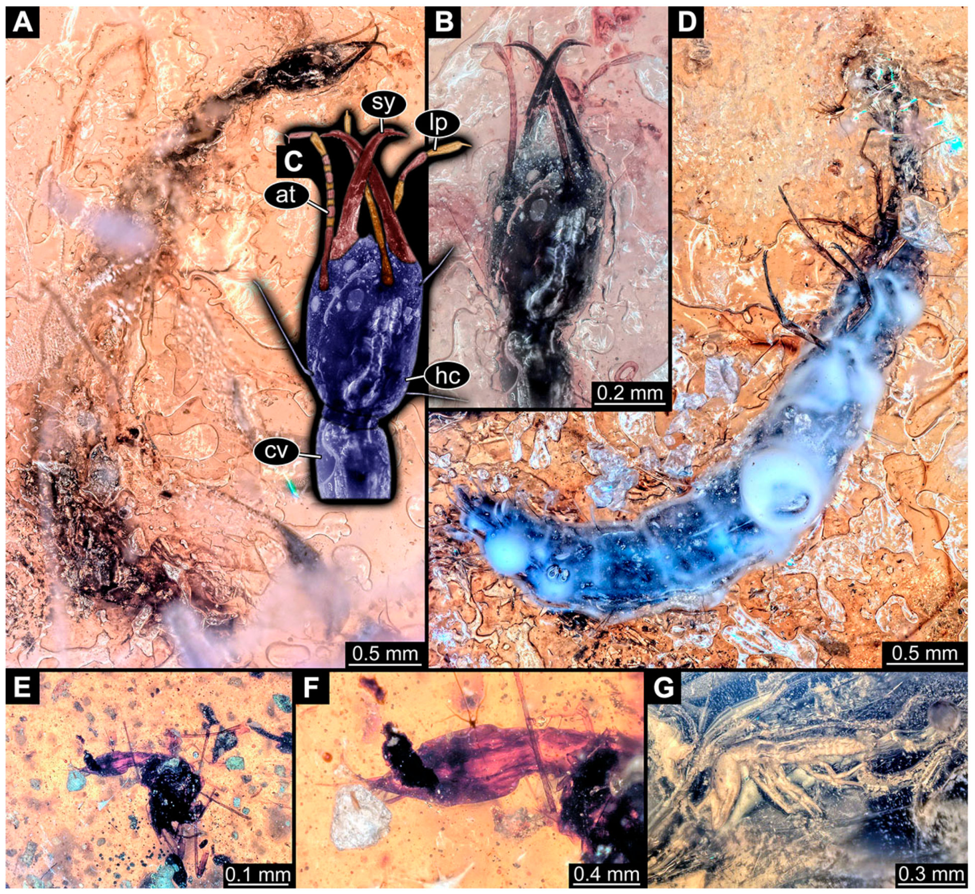 Insects 14 00749 g022