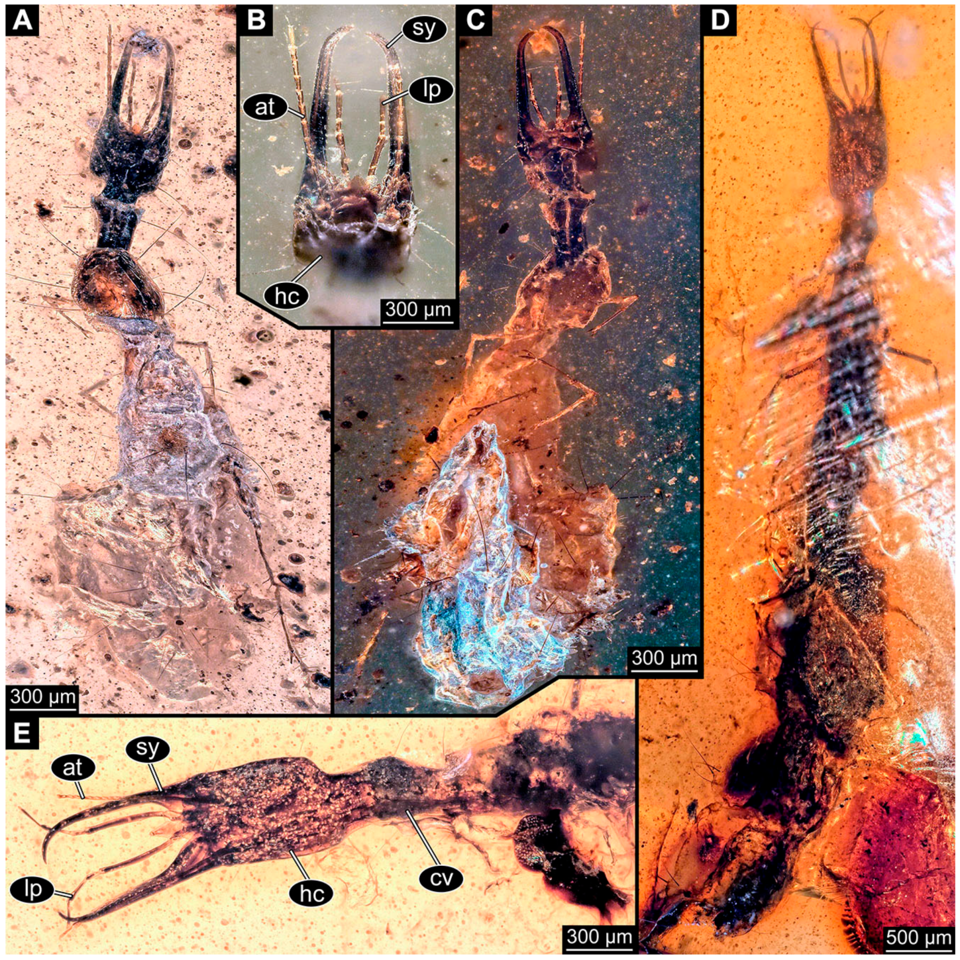 Insects 14 00749 g026