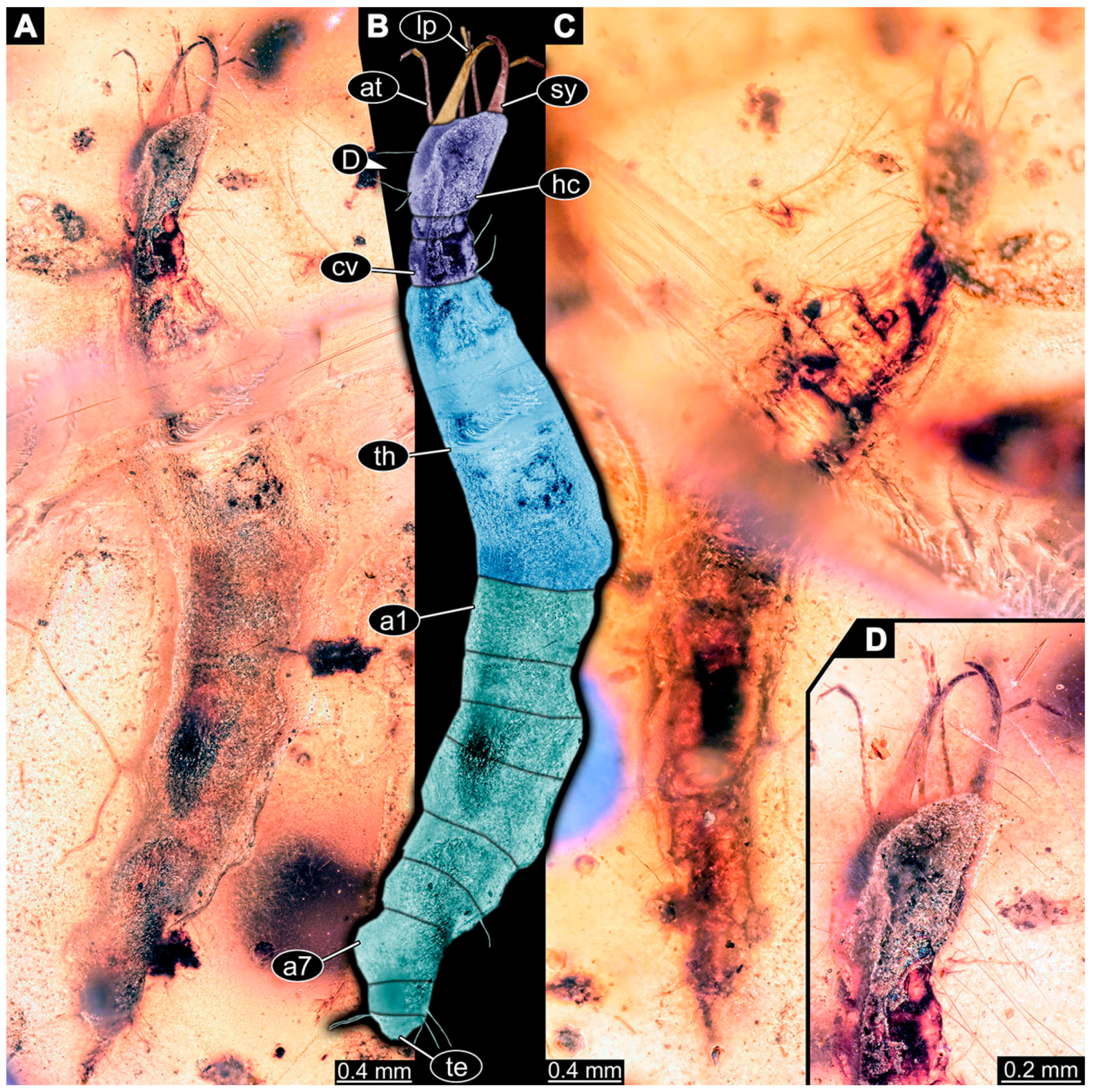 Insects 14 00749 g027