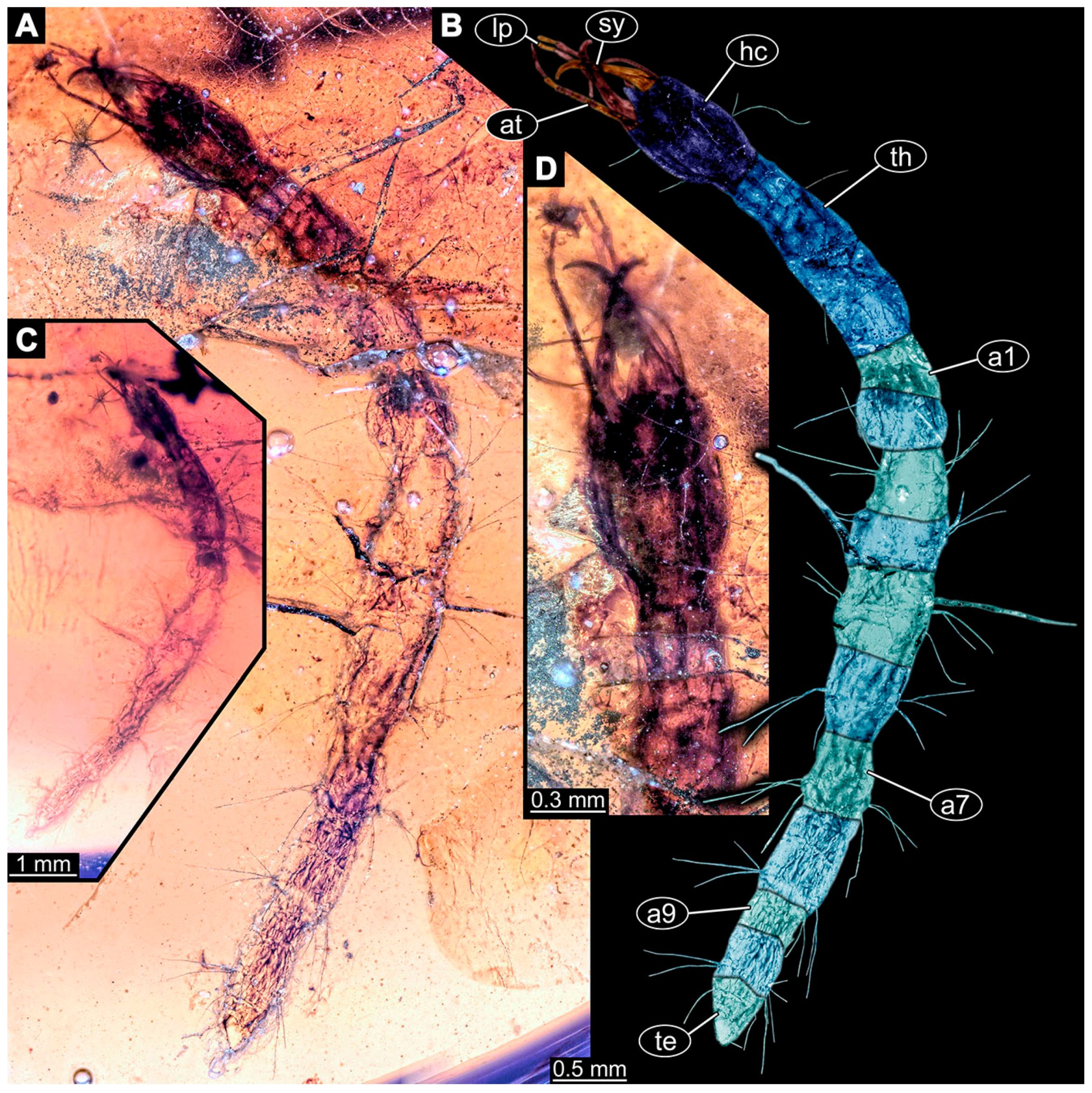 Insects 14 00749 g028