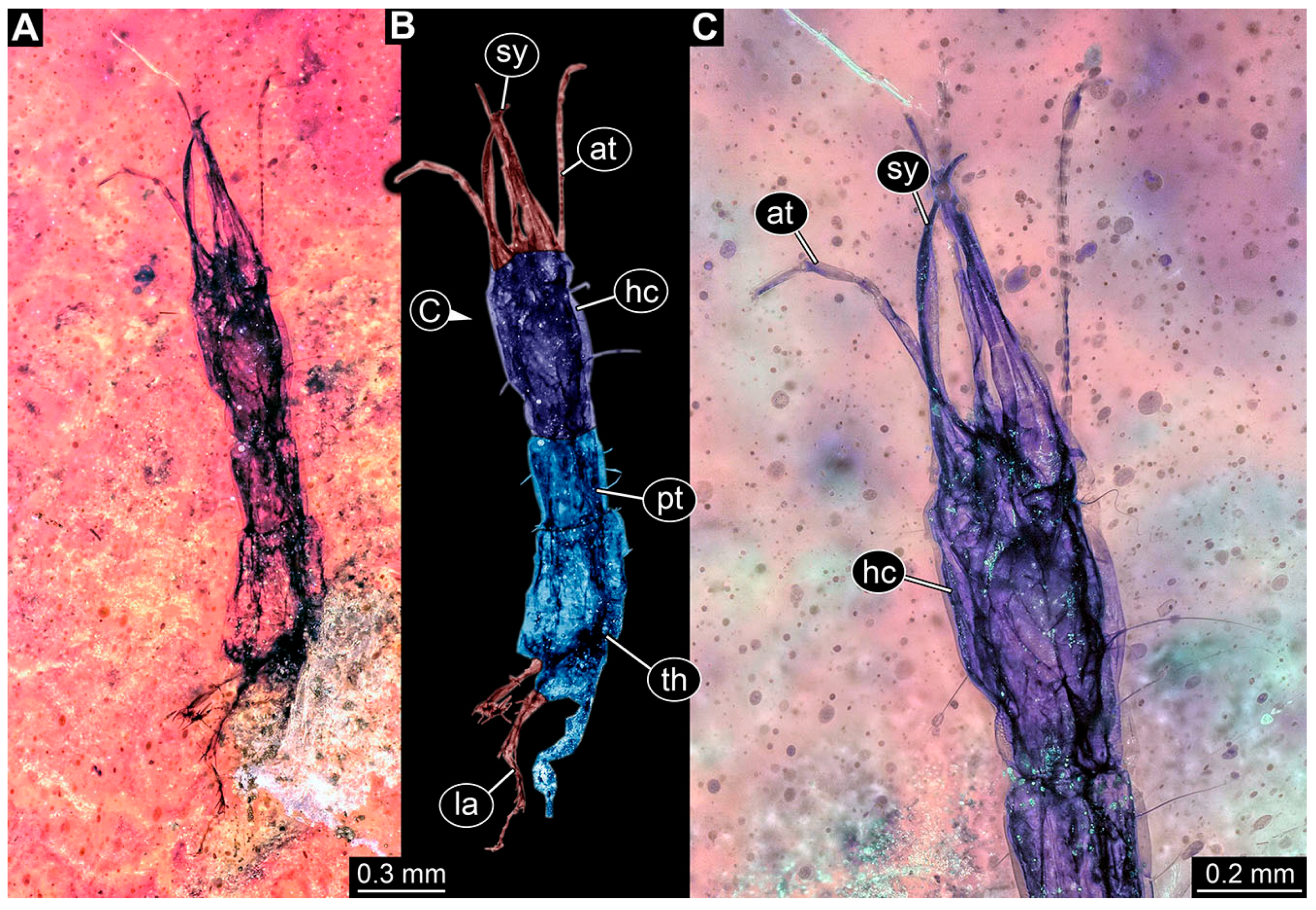 Insects 14 00749 g030