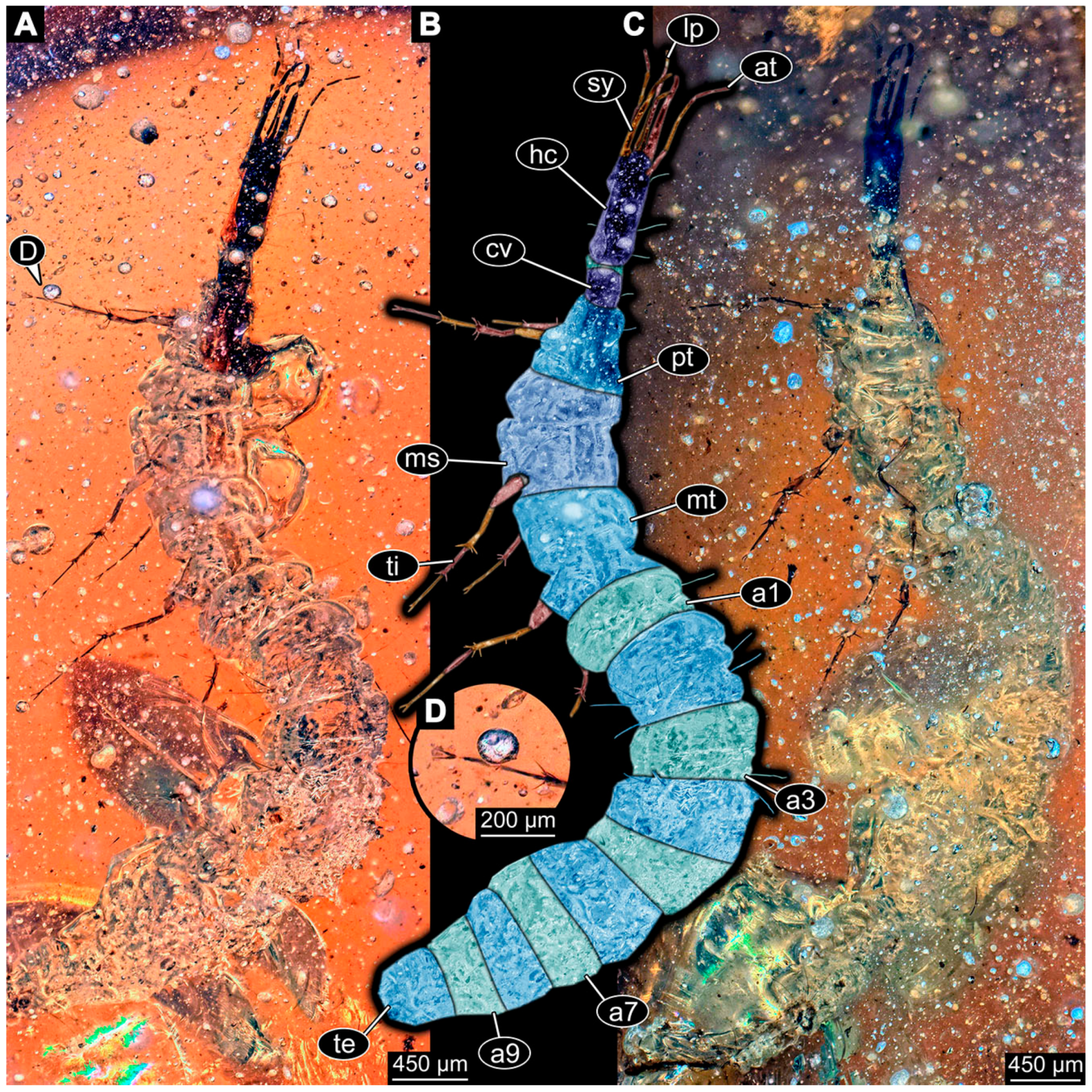 Insects 14 00749 g032