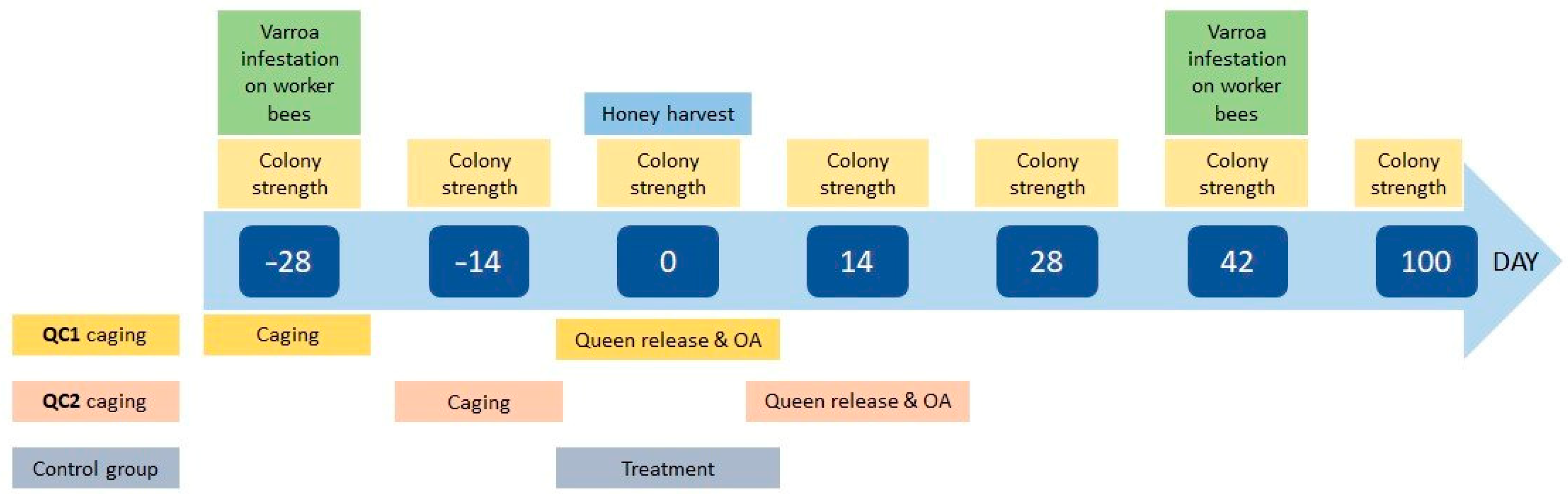Insects 14 00751 g002