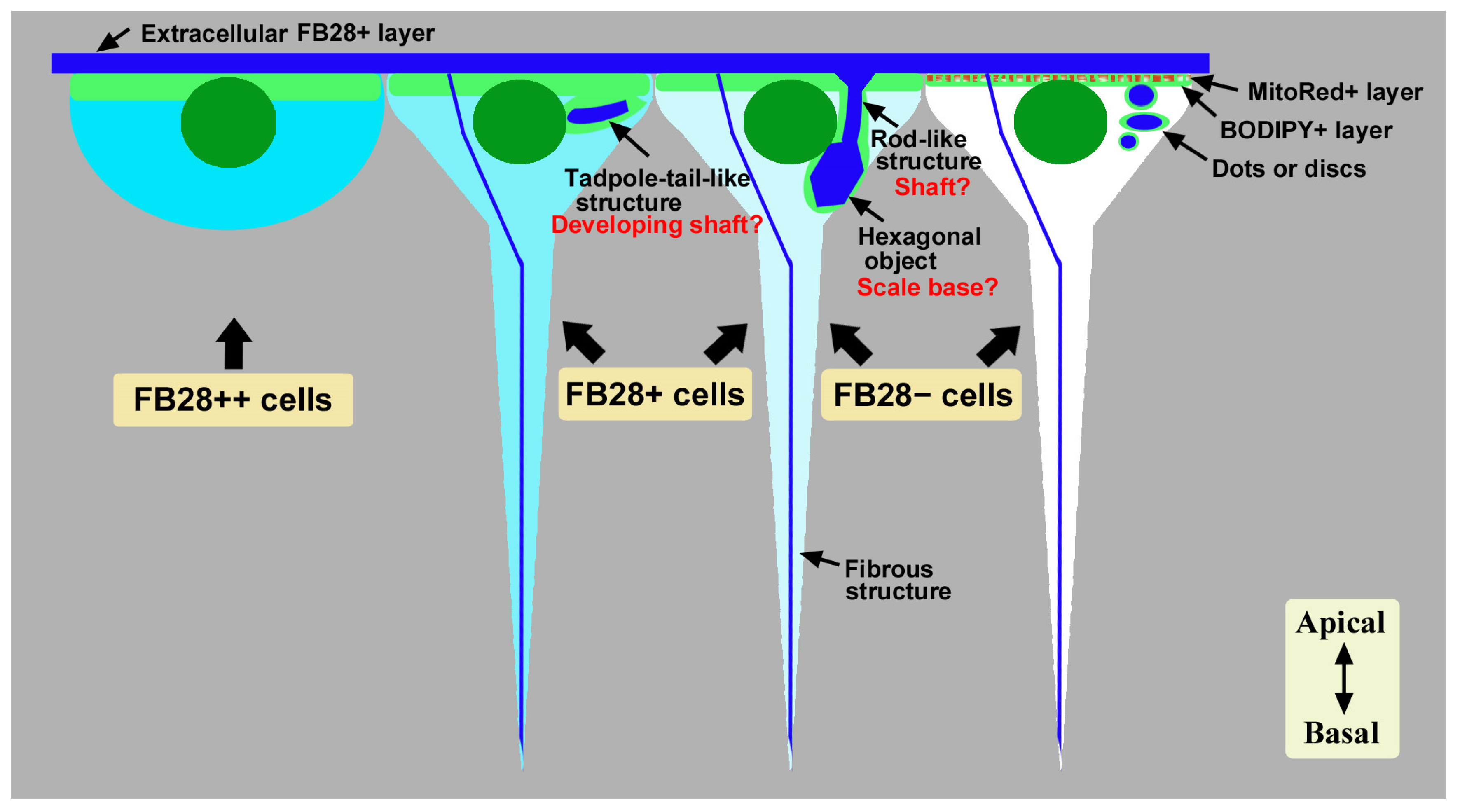 Insects 14 00753 g006