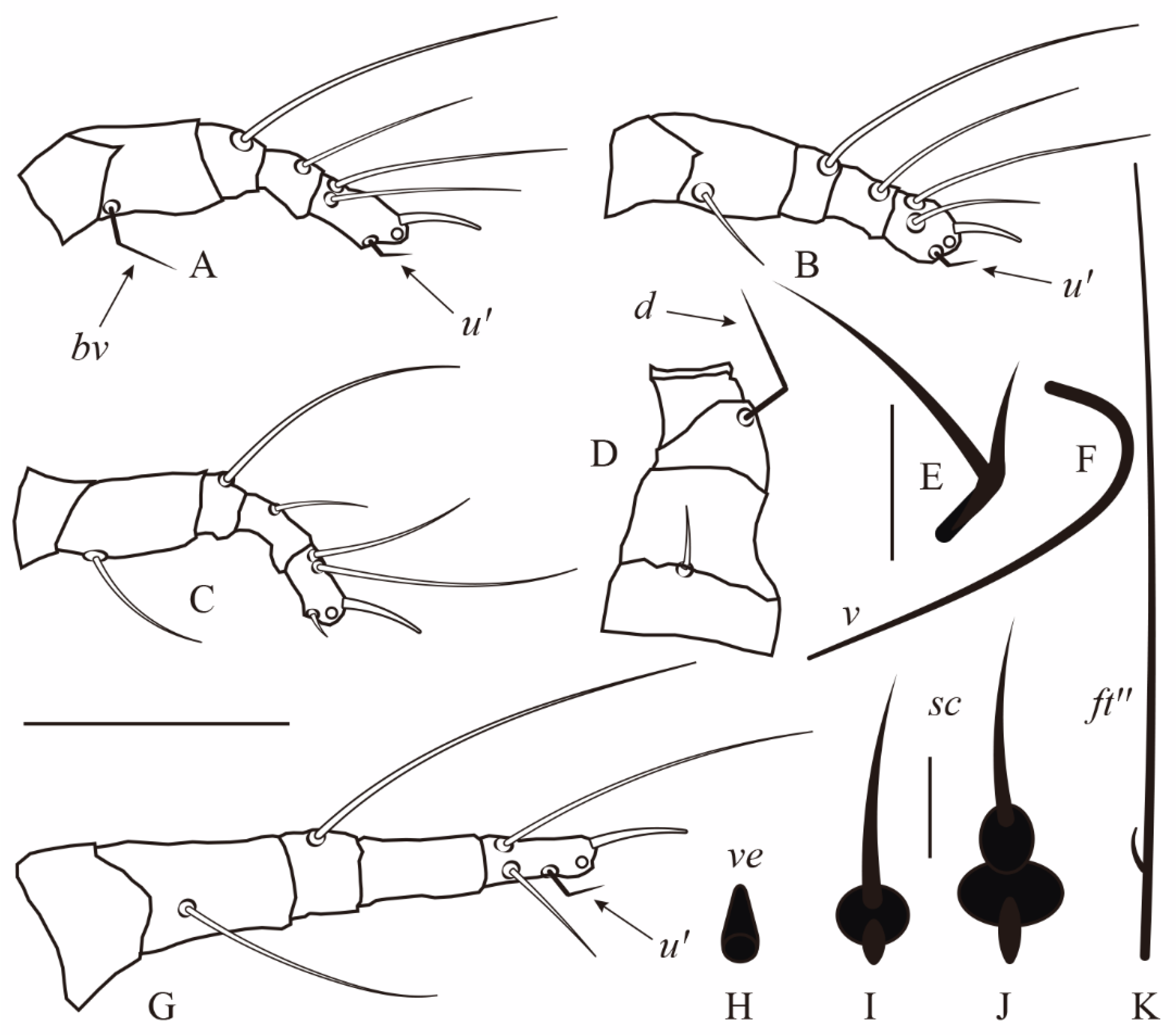 Insects 14 00759 g001