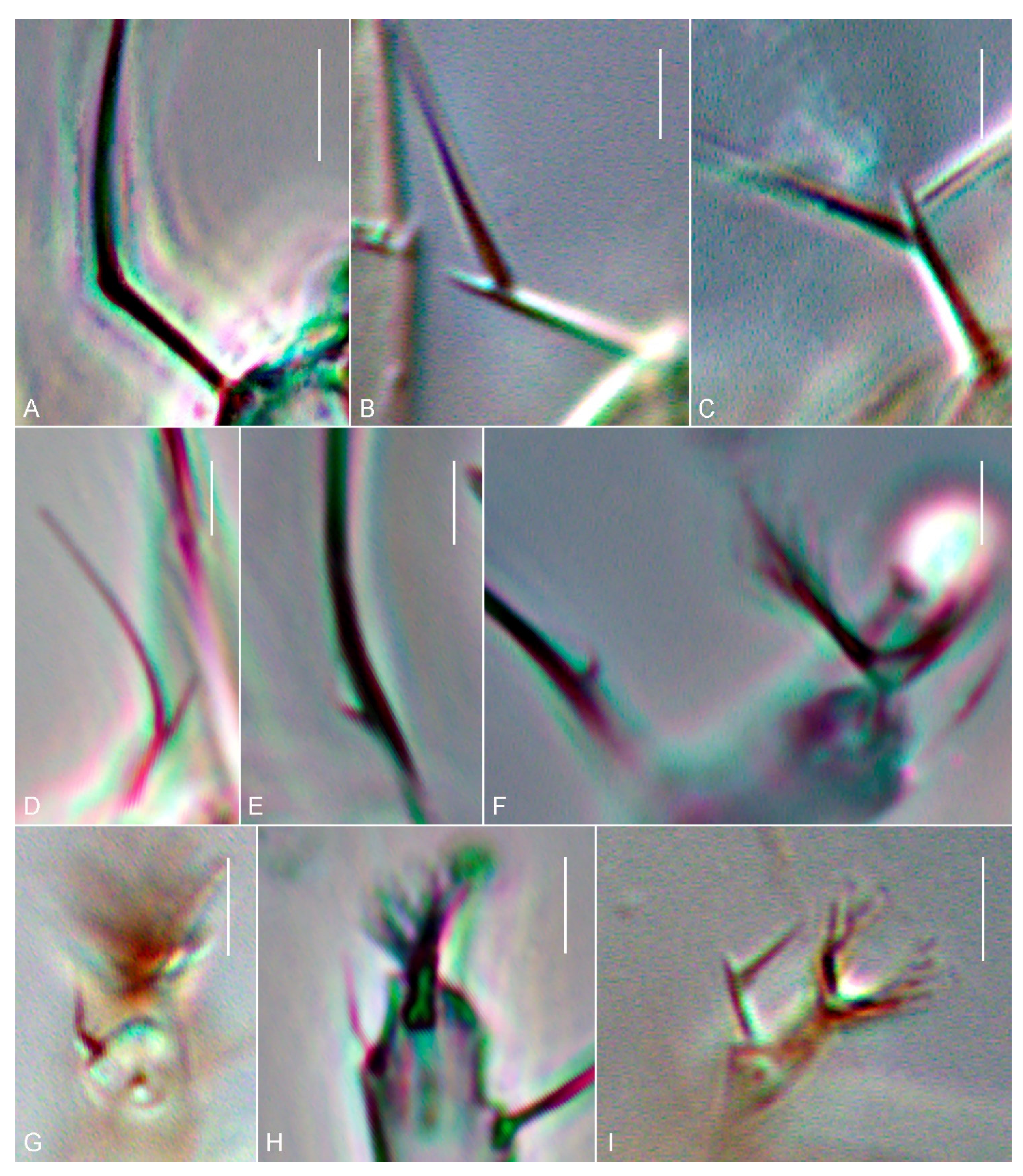 Insects 14 00759 g002