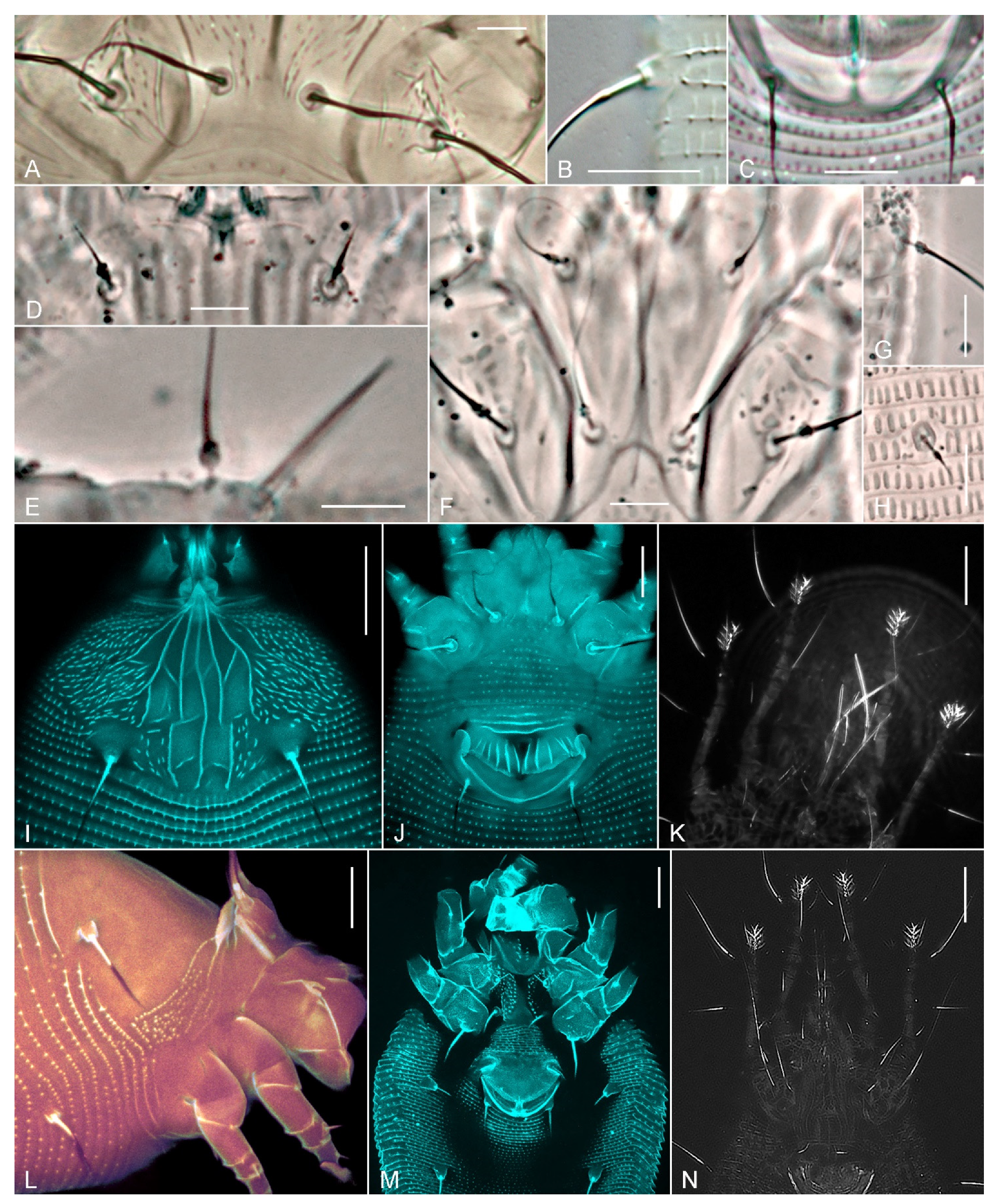 Insects 14 00759 g003