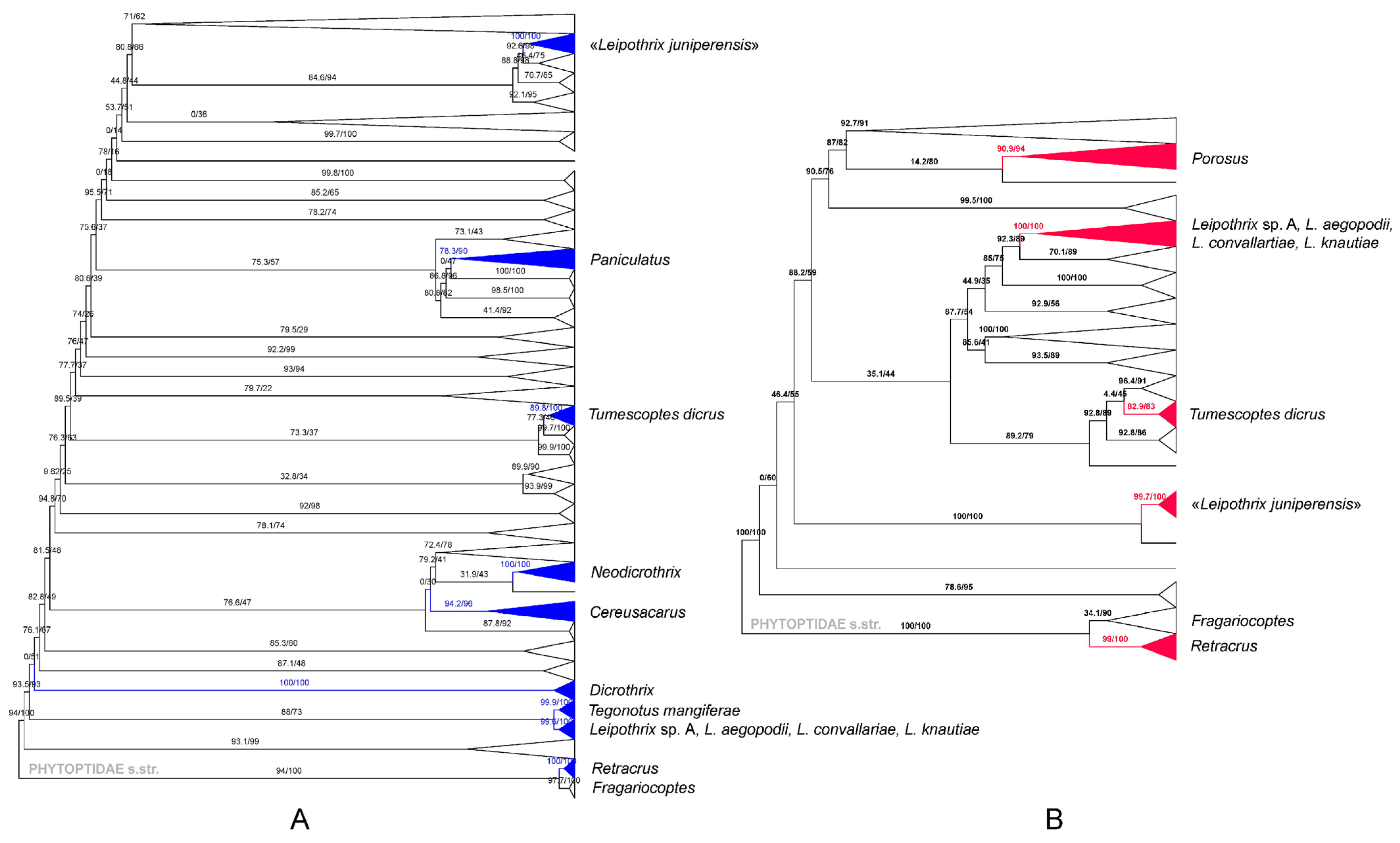Insects 14 00759 g004