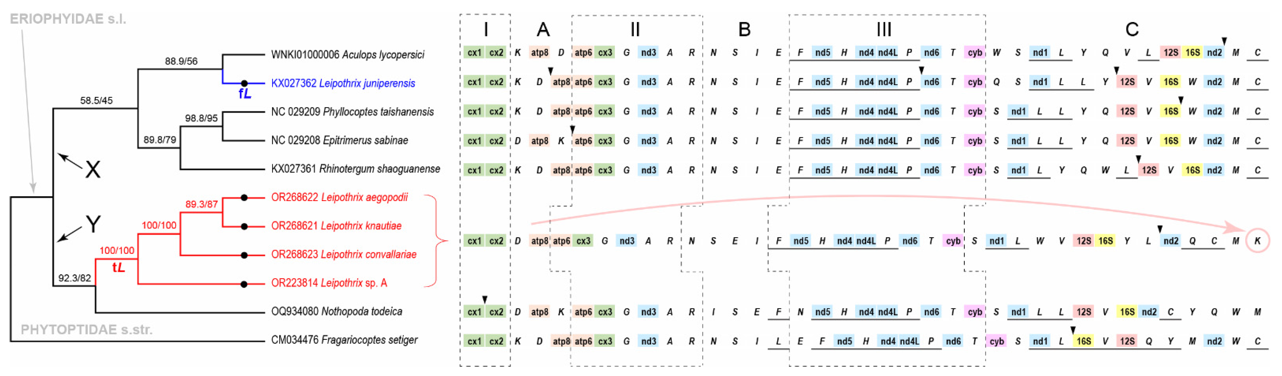 Insects 14 00759 g005