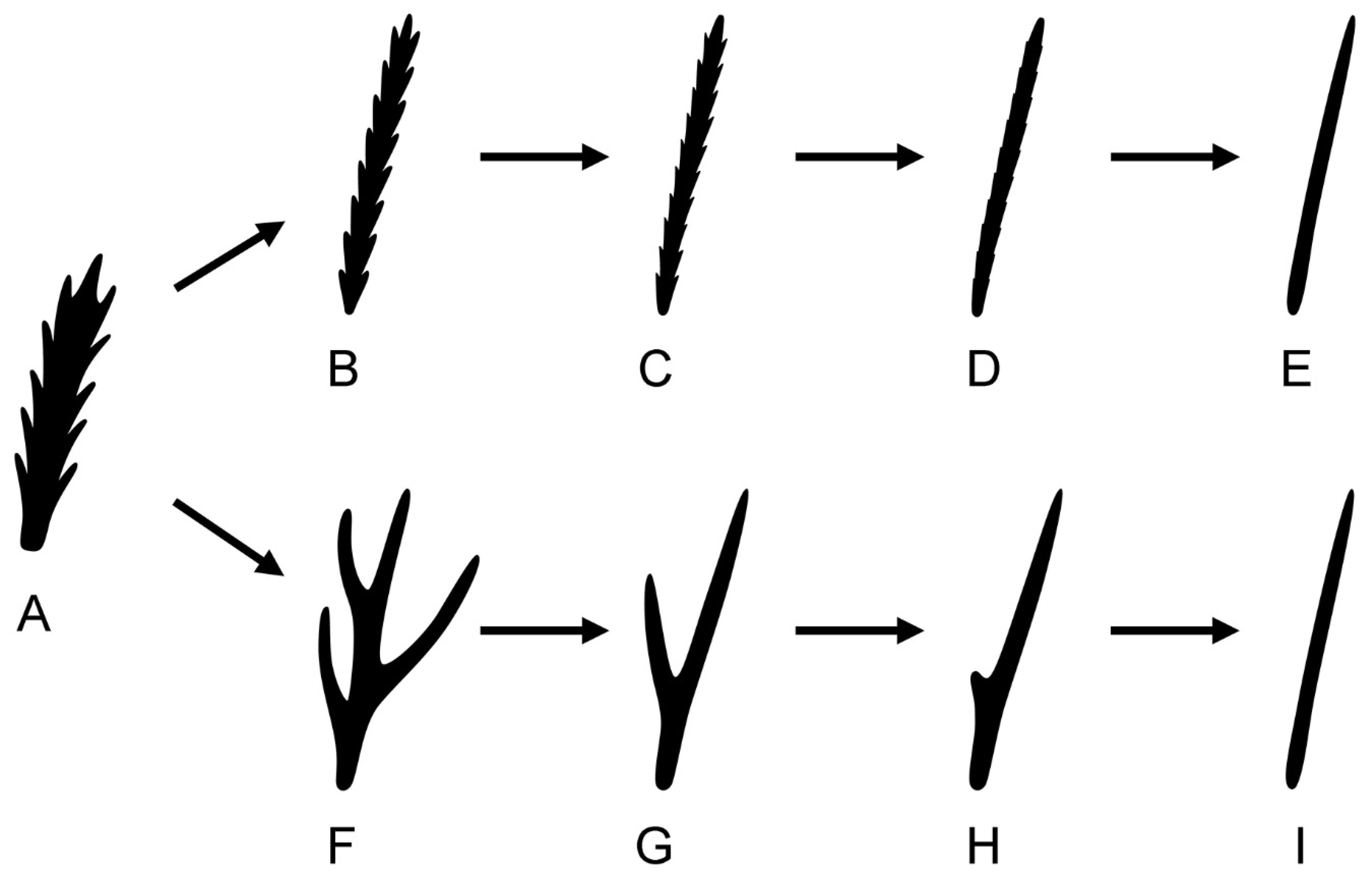 Insects 14 00759 g006