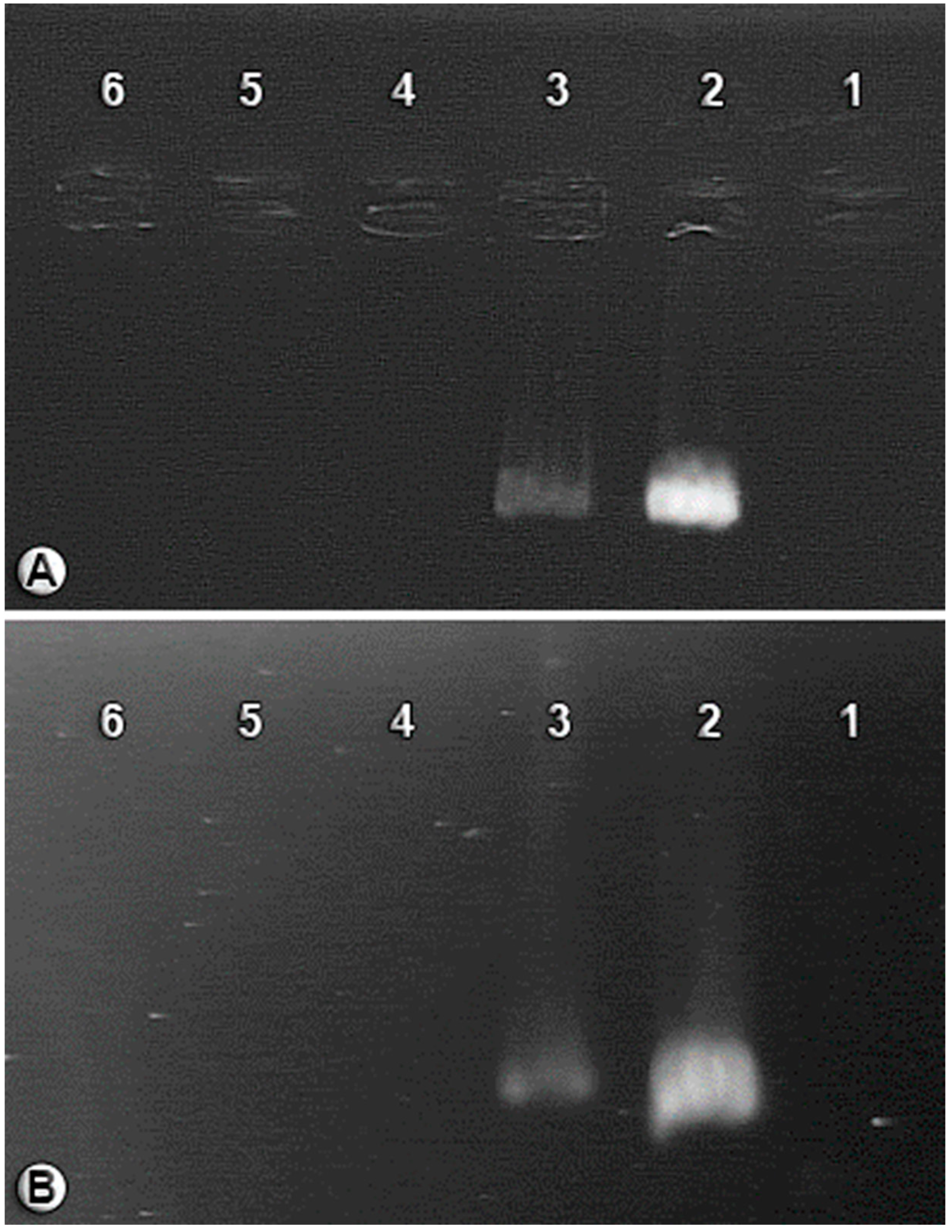 Insects 14 00763 g002