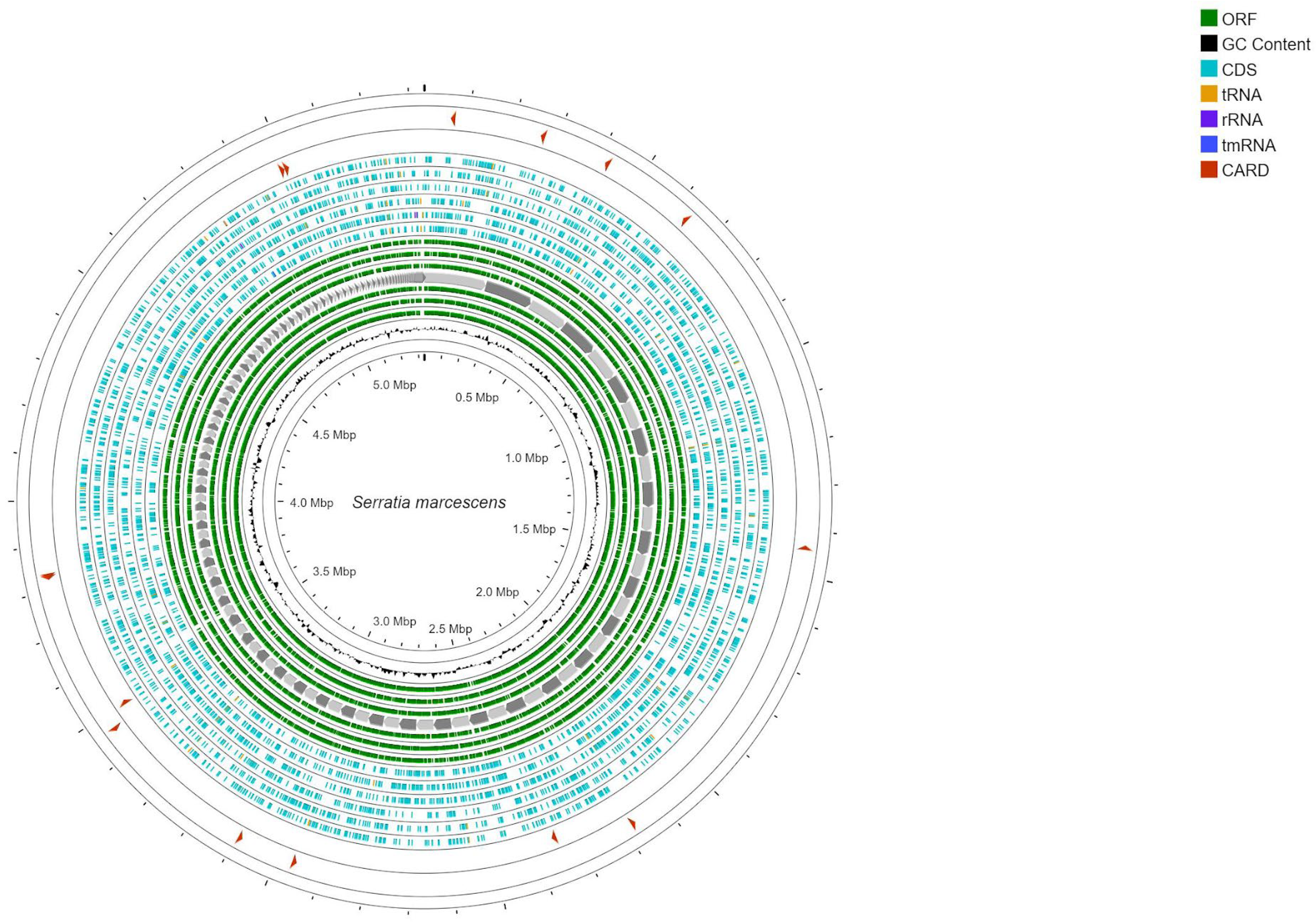 Insects 14 00770 g001 Insects 14 00770 g001