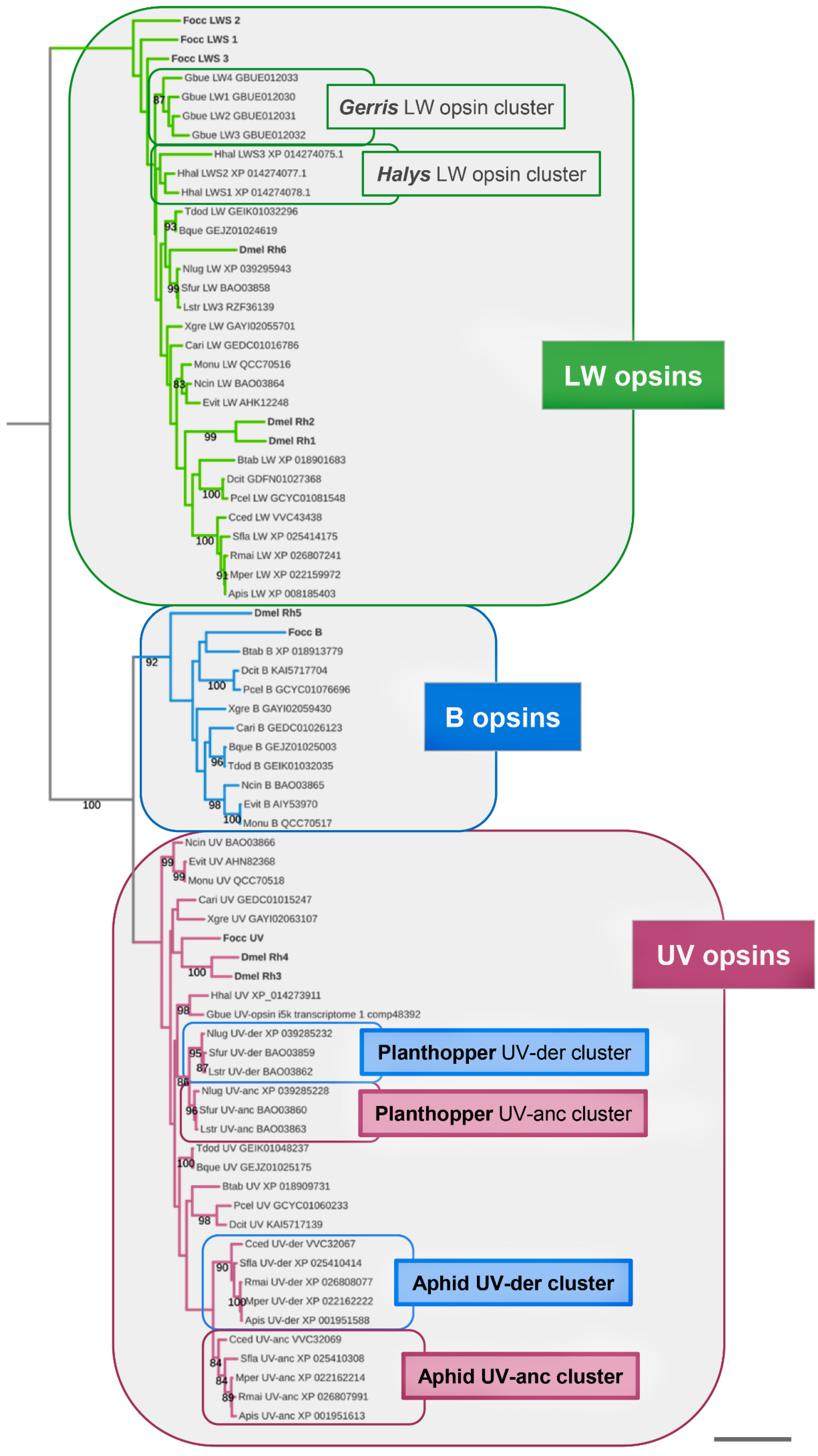 Insects 14 00774 g001