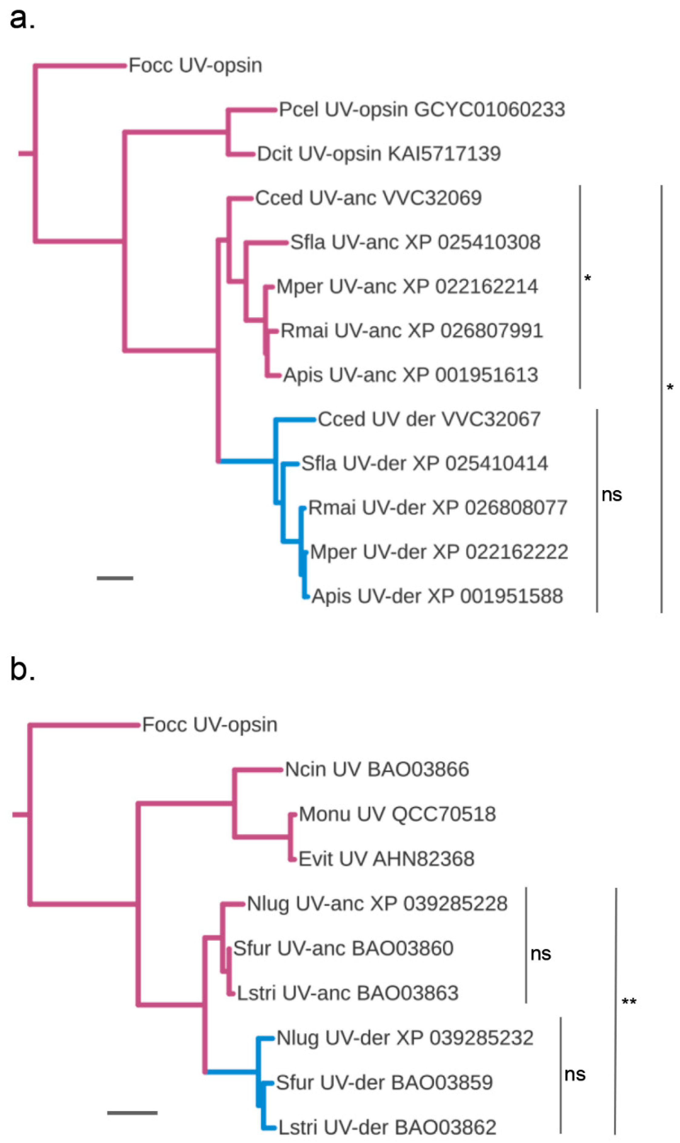 Insects 14 00774 g003