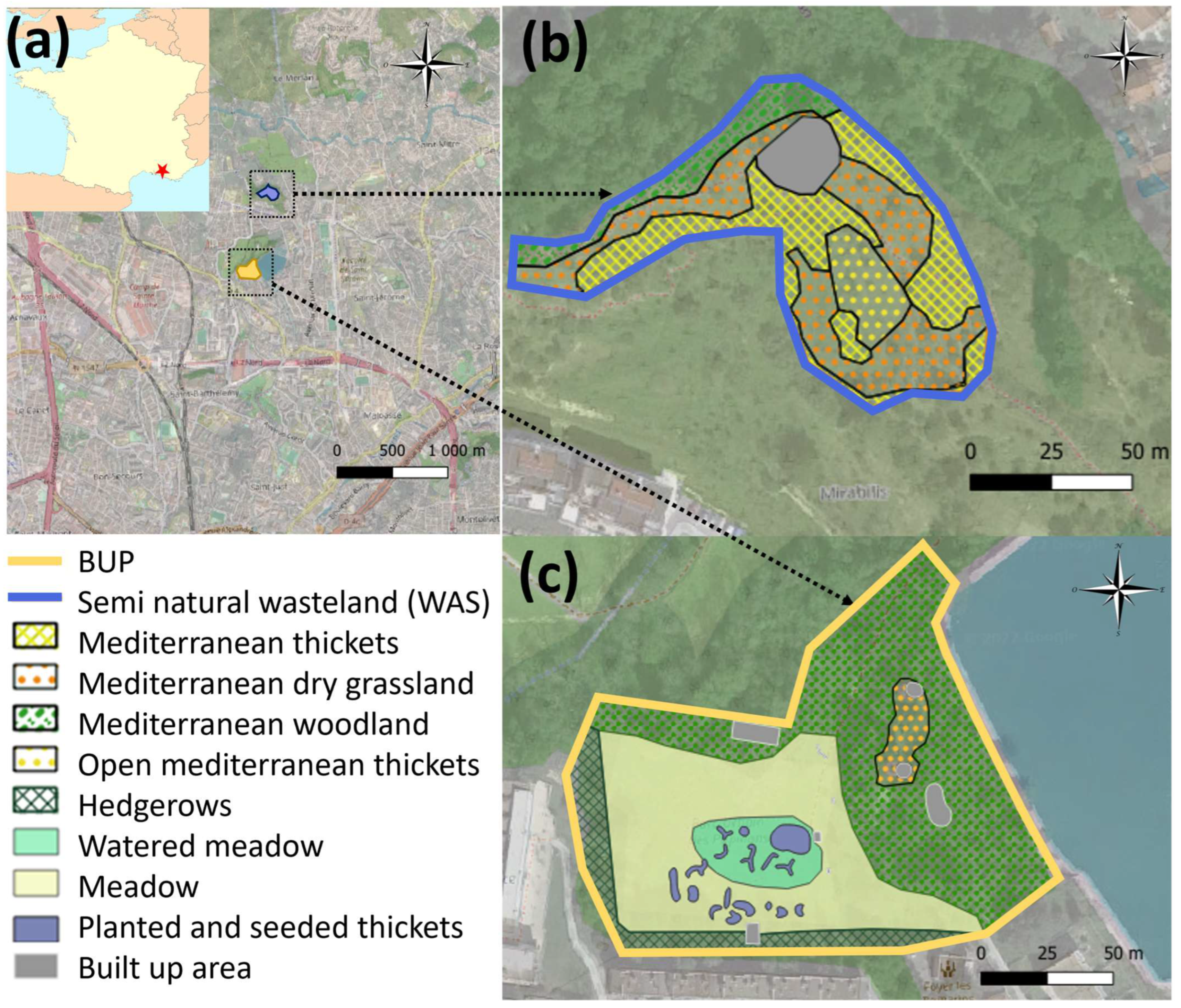 Insects 14 00780 g001