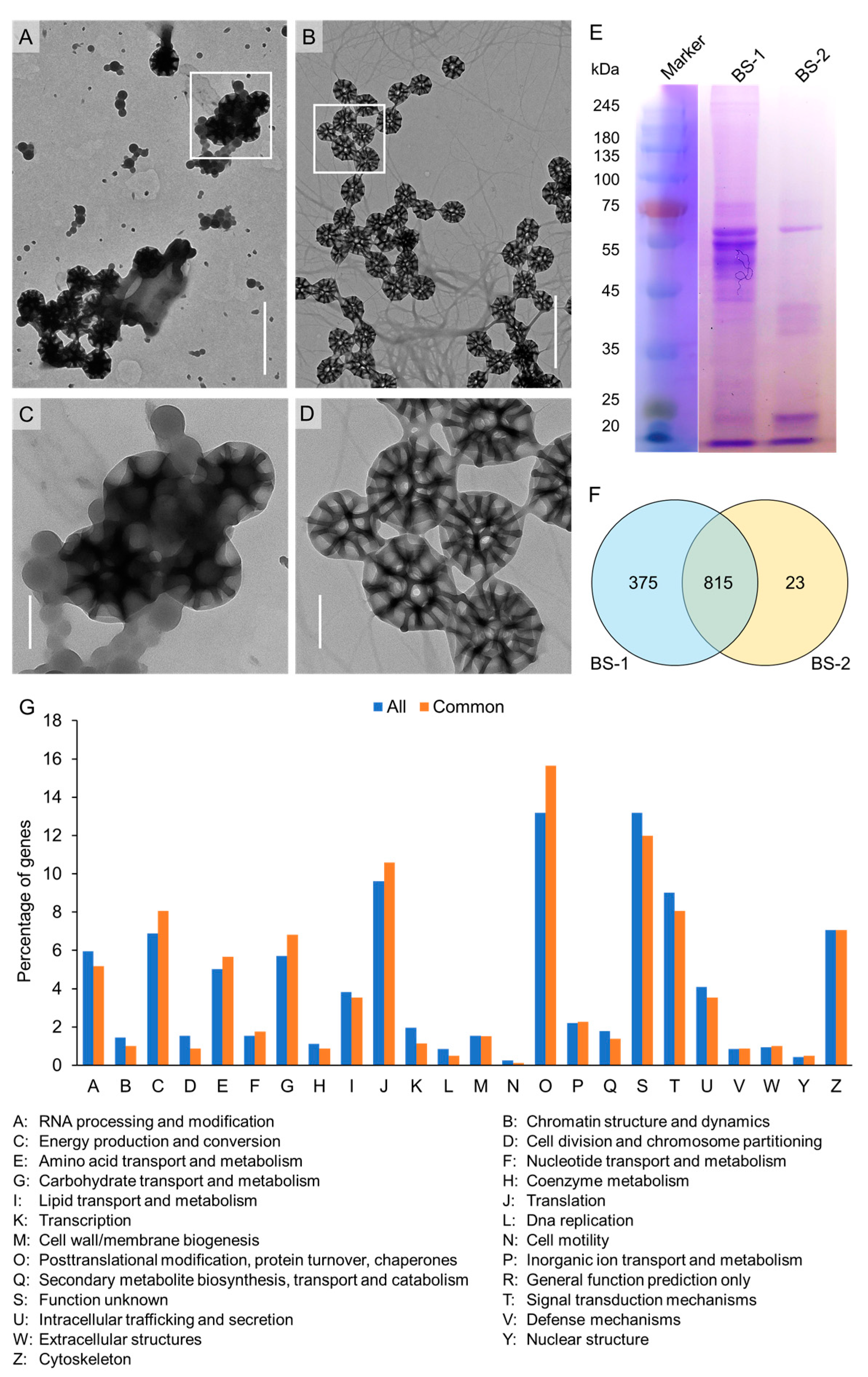 Insects 14 00784 g003