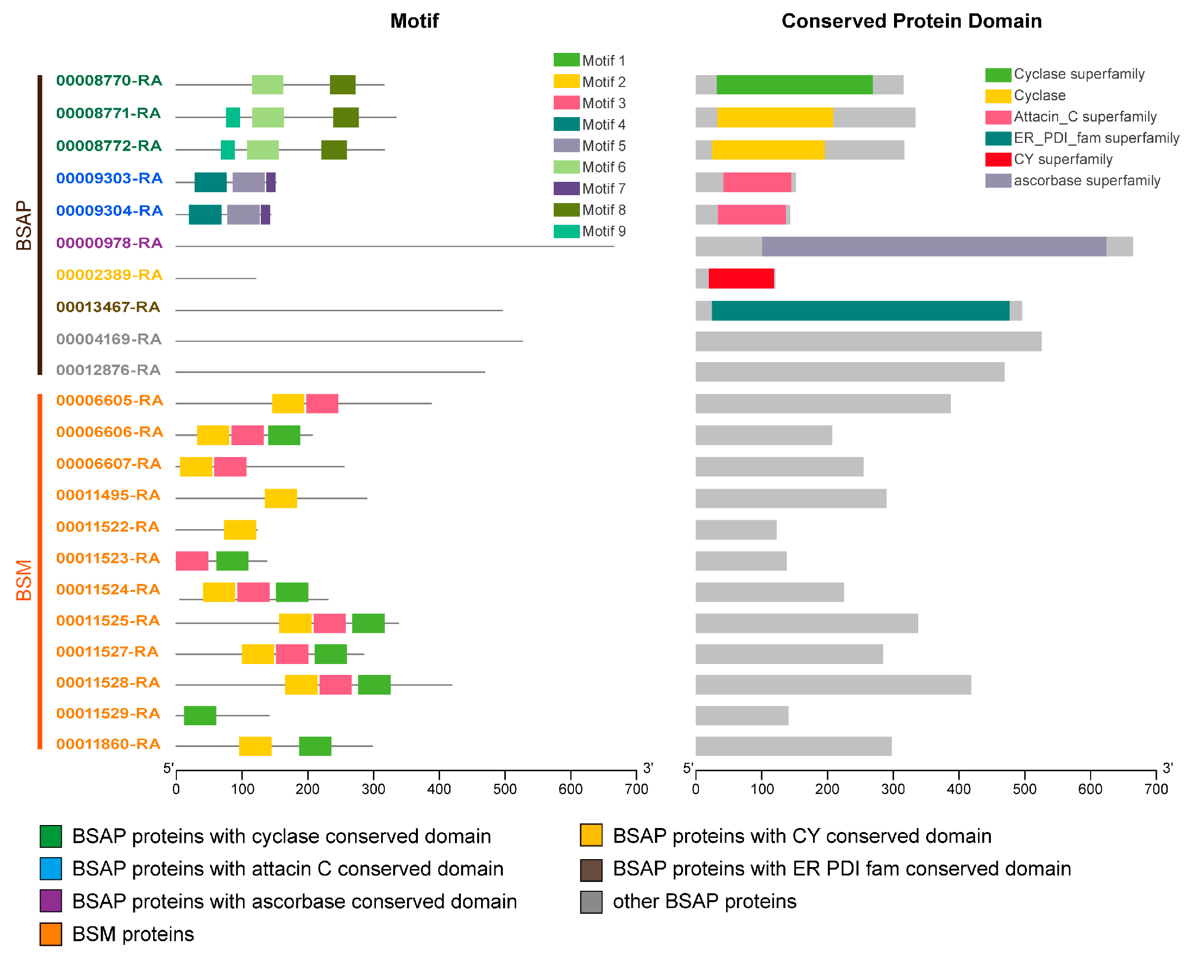 Insects 14 00784 g004