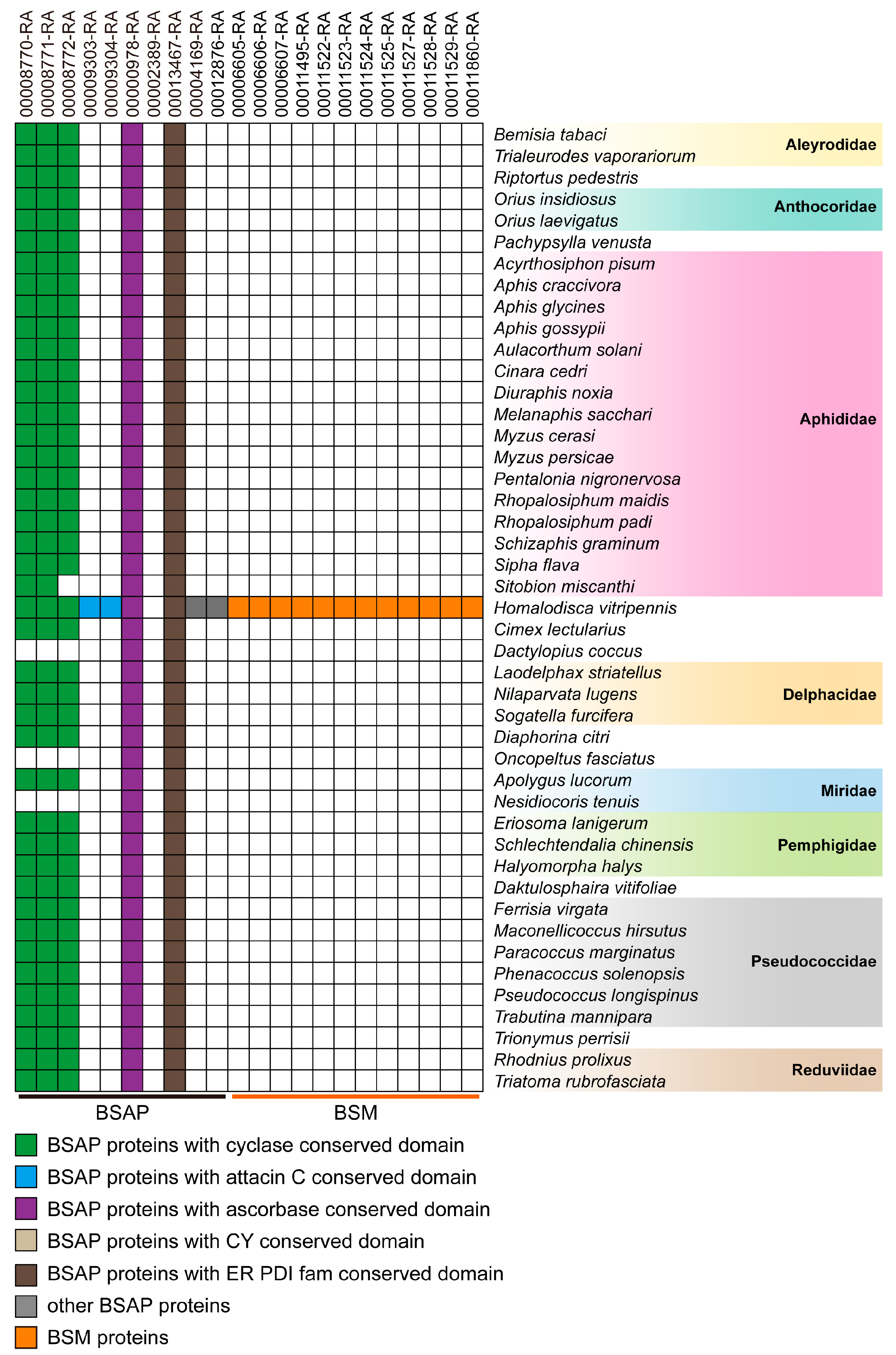 Insects 14 00784 g005