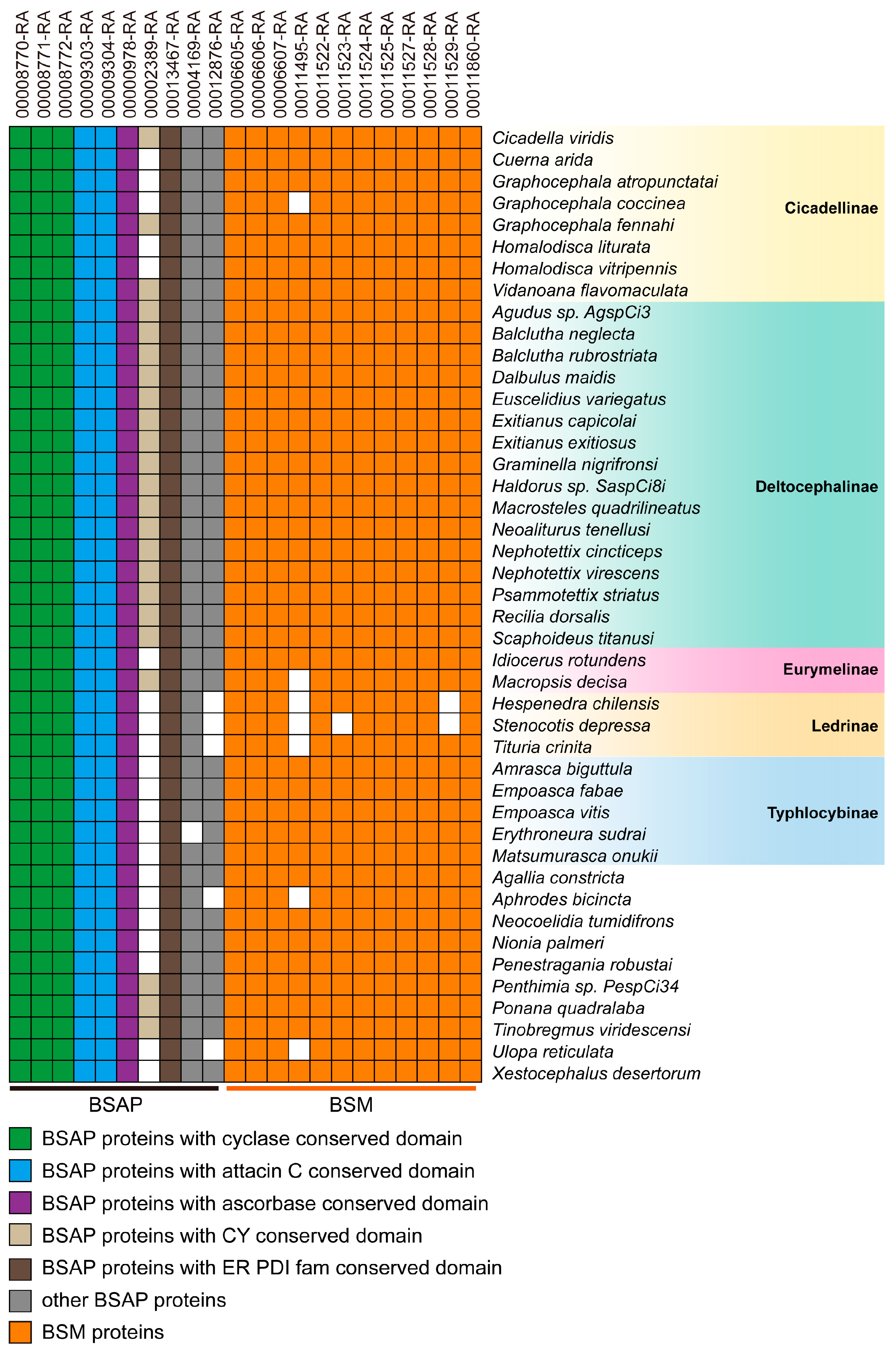 Insects 14 00784 g006