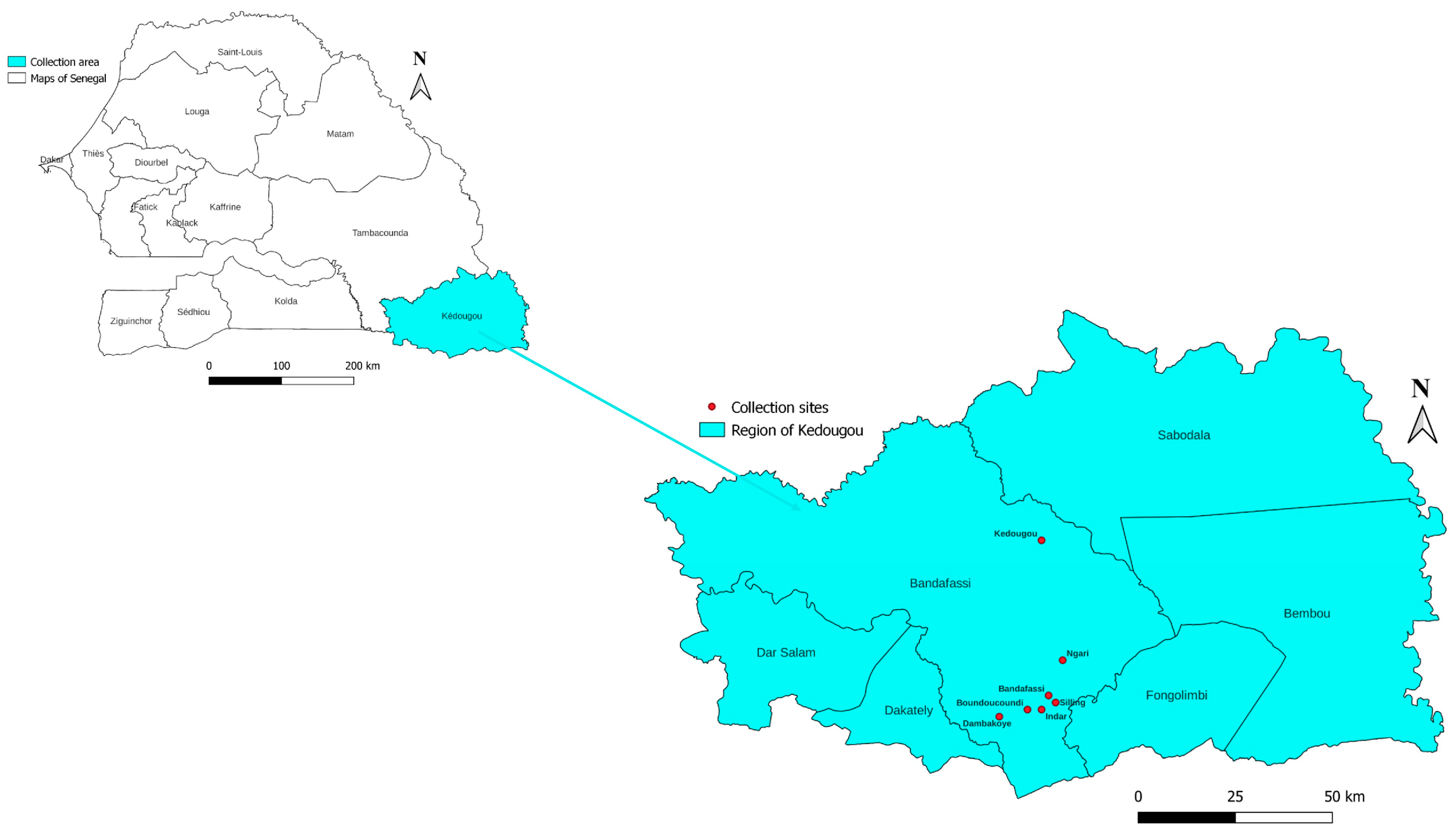 Insects 14 00785 g001